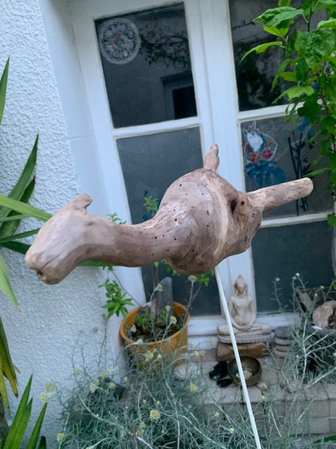 Driftwood sculpture from the Loire: 'Baby Dragon' - 54 cm height à 40 à 10 / ± 950 gr. - Zen Curiosity Creation