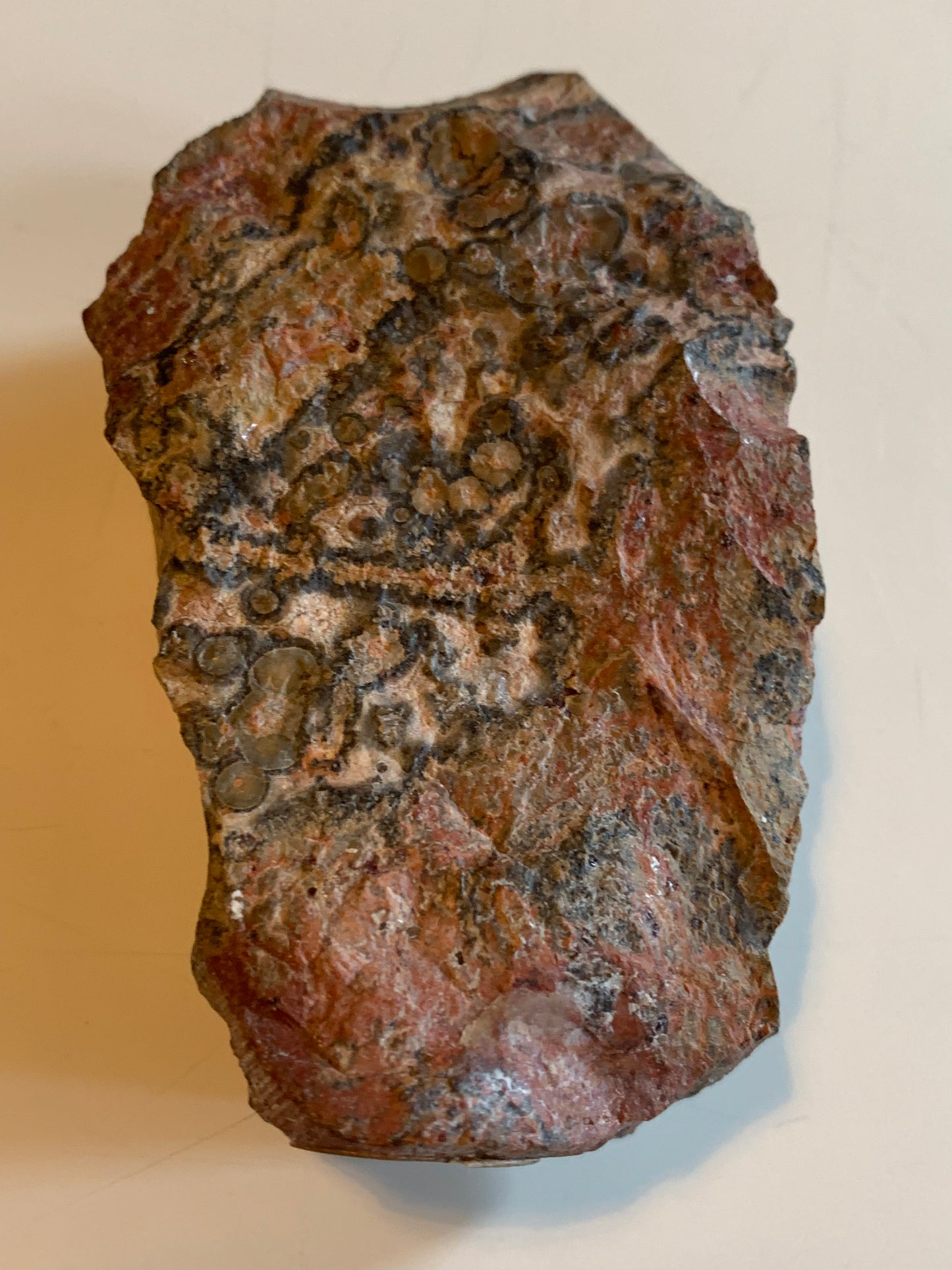 Jaspe Léopard - Spécimen brut de 172,5 grammes - de 90x55x35mm. Très beau morceau !