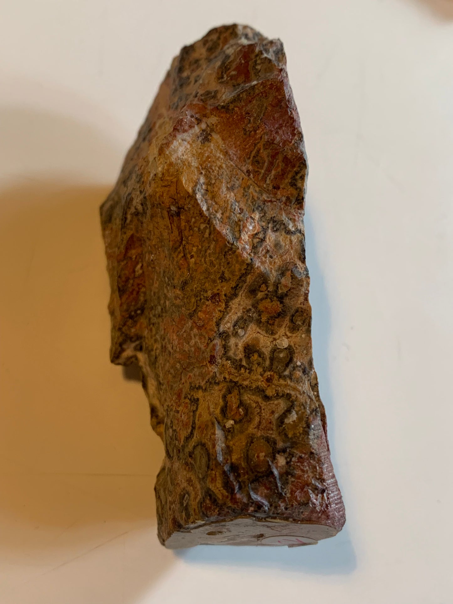 Jaspe Léopard - Spécimen brut de 172,5 grammes - de 90x55x35mm. Très beau morceau !