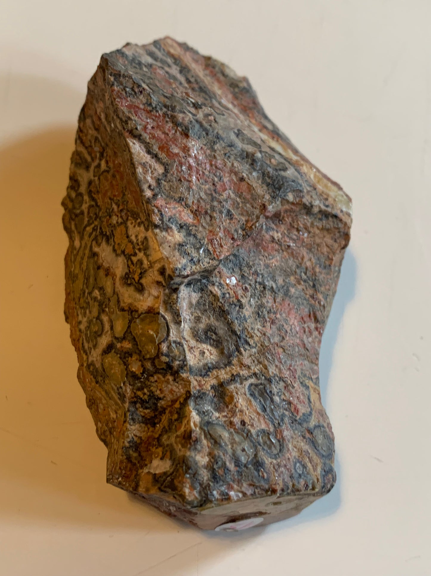 Jaspe Léopard - Spécimen brut de 172,5 grammes - de 90x55x35mm. Très beau morceau !