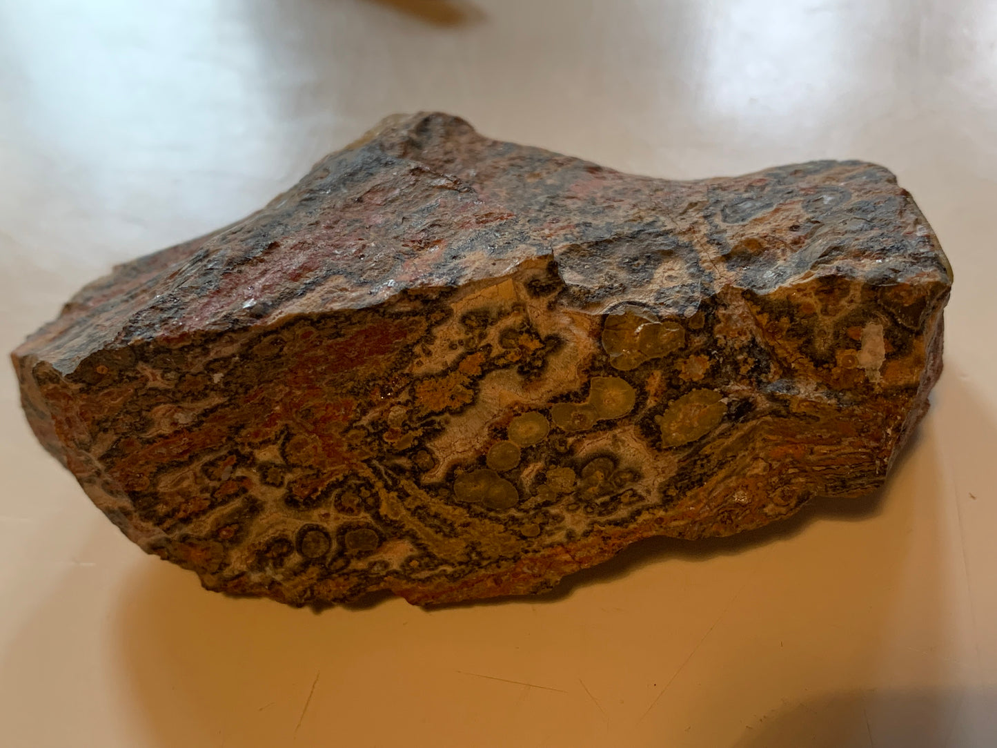 Jaspe Léopard - Spécimen brut de 172,5 grammes - de 90x55x35mm. Très beau morceau !