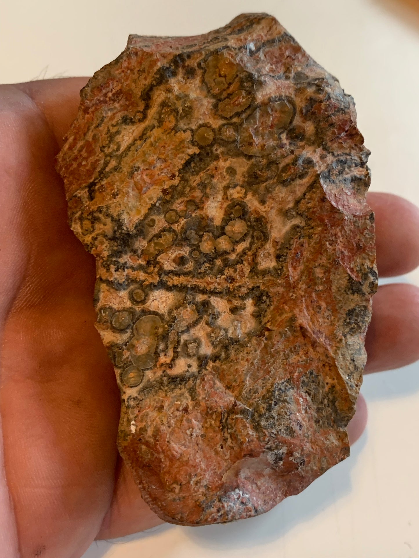 Jaspe Léopard - Spécimen brut de 172,5 grammes - de 90x55x35mm. Très beau morceau !