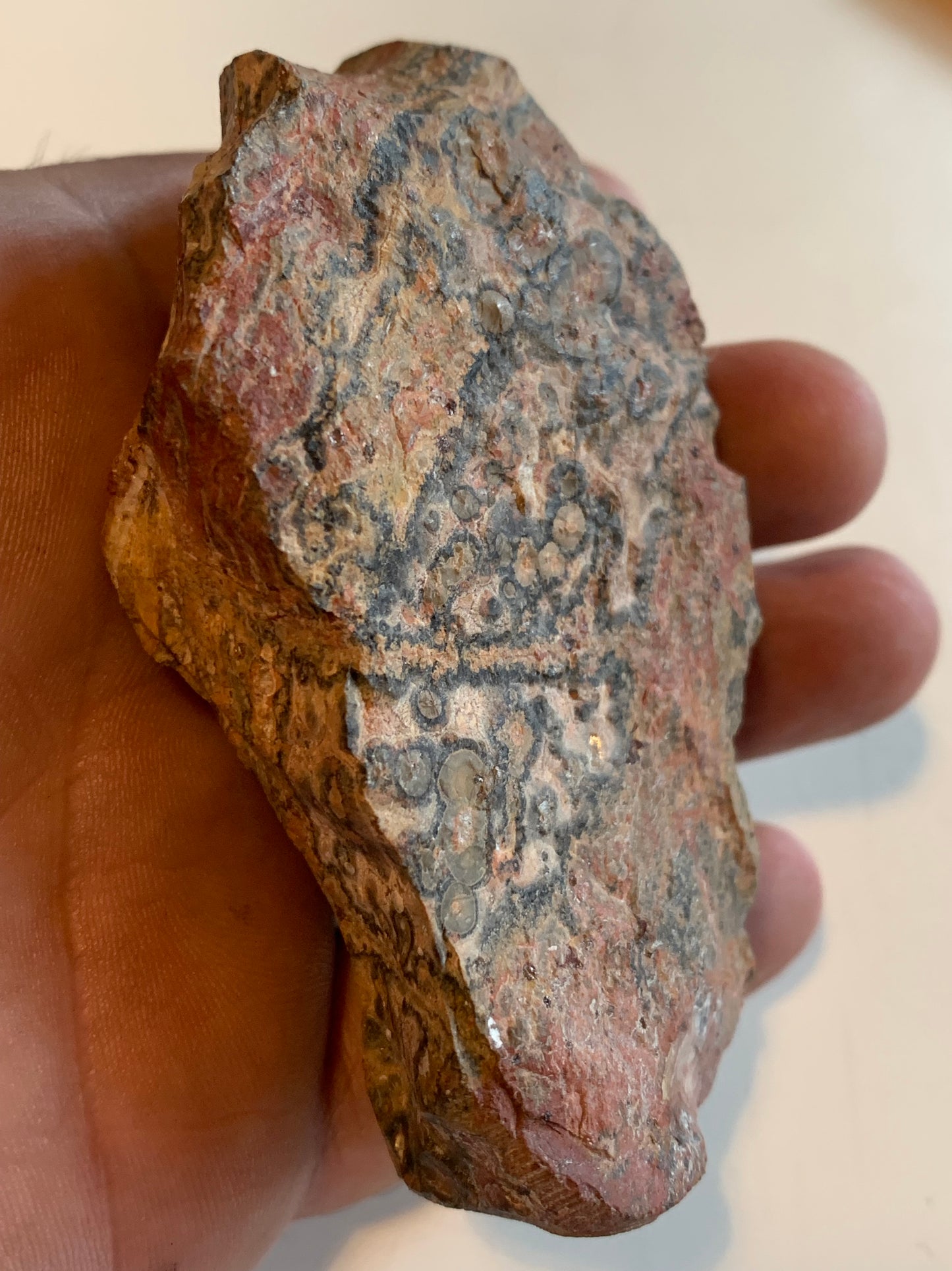 Jaspe Léopard - Spécimen brut de 172,5 grammes - de 90x55x35mm. Très beau morceau !