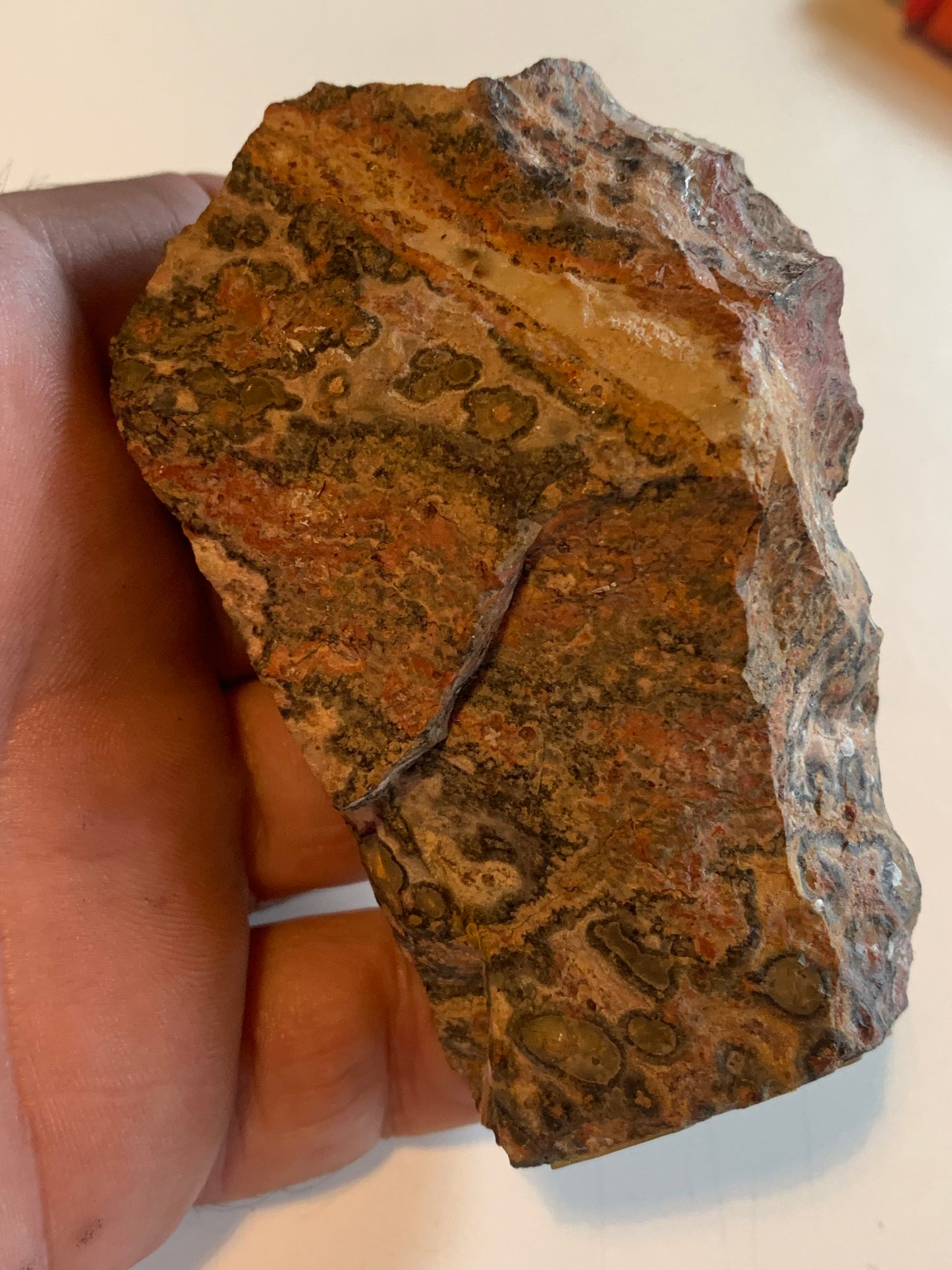 Jaspe Léopard - Spécimen brut de 172,5 grammes - de 90x55x35mm. Très beau morceau !