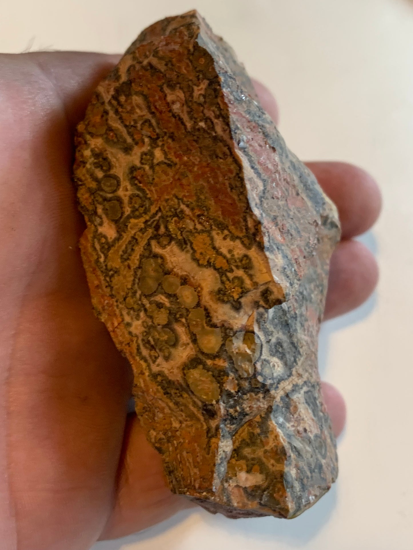 Jaspe Léopard - Spécimen brut de 172,5 grammes - de 90x55x35mm. Très beau morceau !