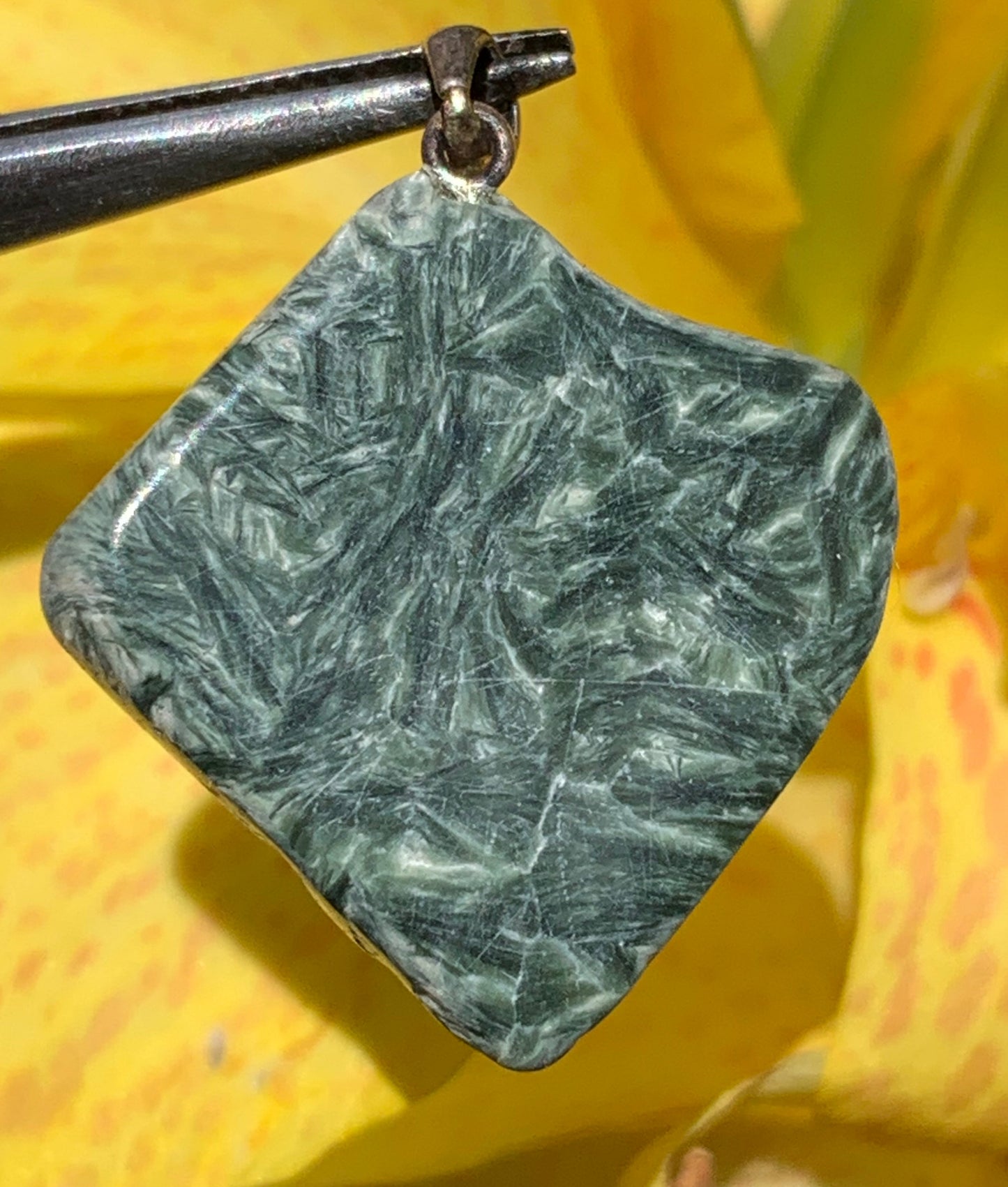 Séraphinite ! Pendentif en Argent 925 de 34mm de hauteur x 26 de largeur x 5 d'épaisseur. Vendu avec cordon réglable de couleur noire !