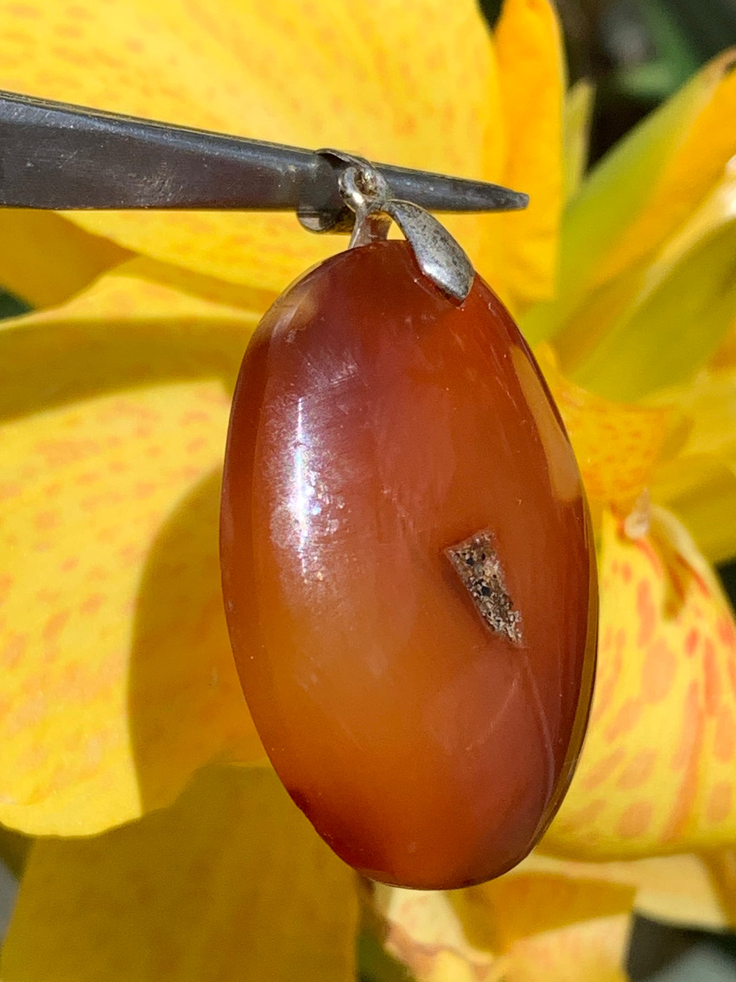 Cornaline, pendentif de 42mm de hauteur x 25 de largeur x 8 d'épaisseur. Vendu avec cordon réglable de couleur noire !