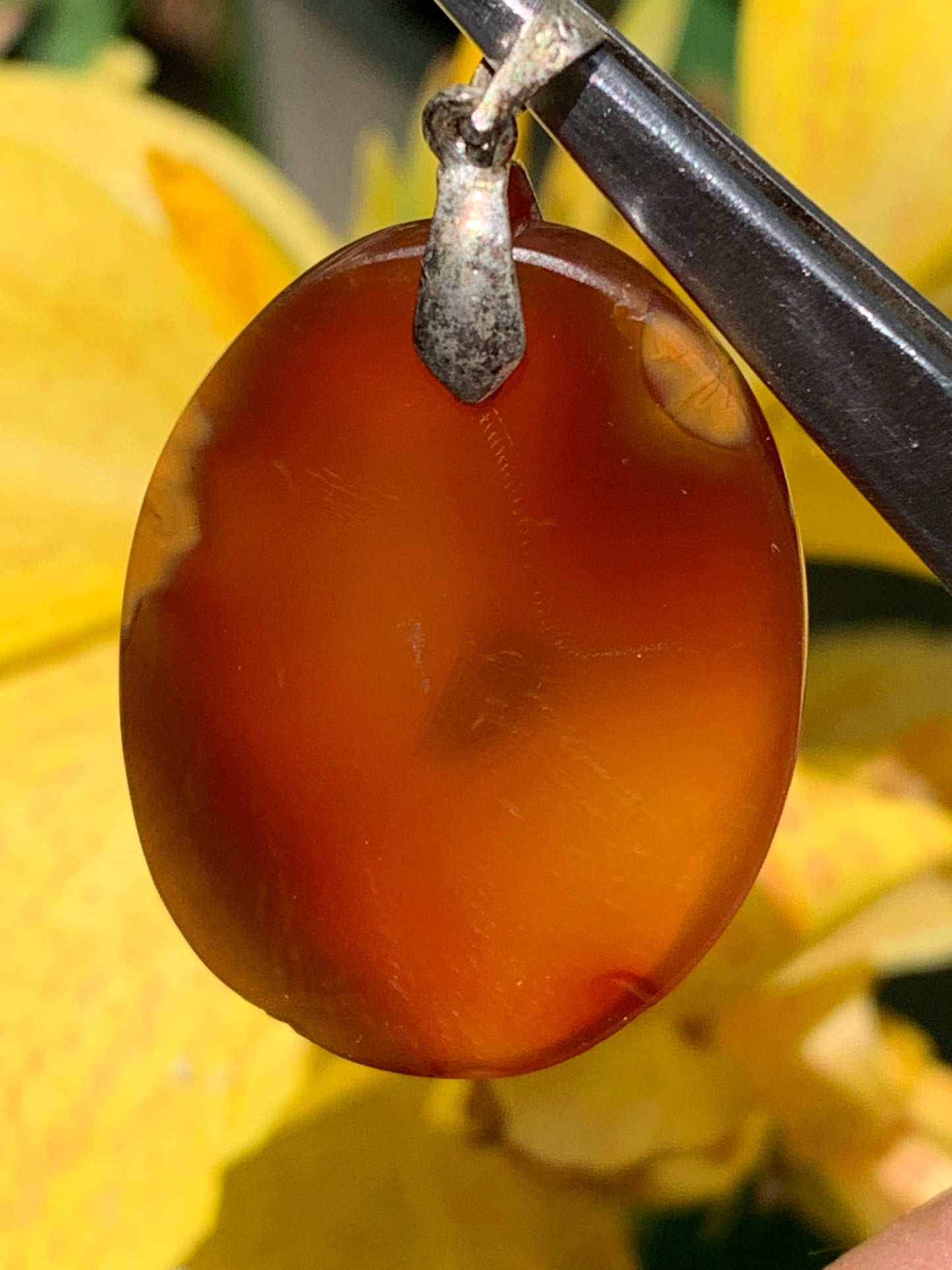 Cornaline, pendentif de 42mm de hauteur x 25 de largeur x 8 d'épaisseur. Vendu avec cordon réglable de couleur noire !
