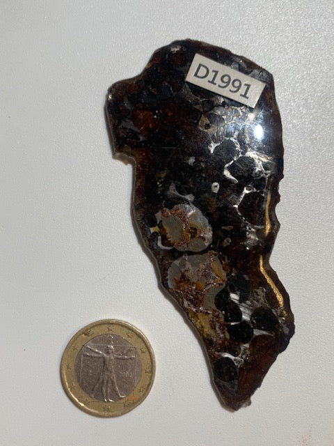 Selection of 'Pallasite Sericho' meteorites – from 6 to 40 g – magnificent inclusions of large olivine crystals
