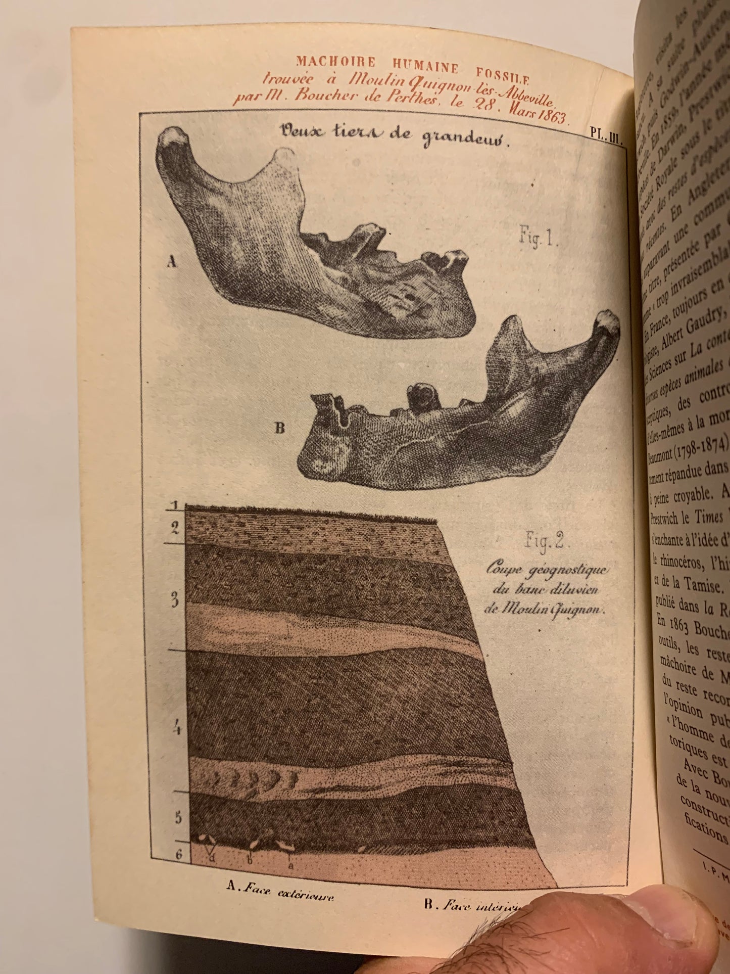 Livre : De 1963 | L'archéologie préhistorique | Annette Laming-Emperaire | Éditions Les Rayons De La Science