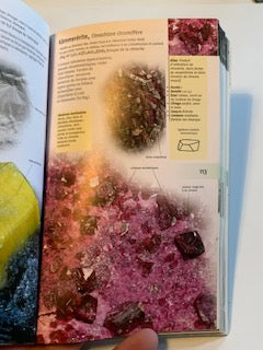 Livre : 300 roches et minéraux par Rupert Hochleitner | Broché | Editions Delachaux et Niestlé