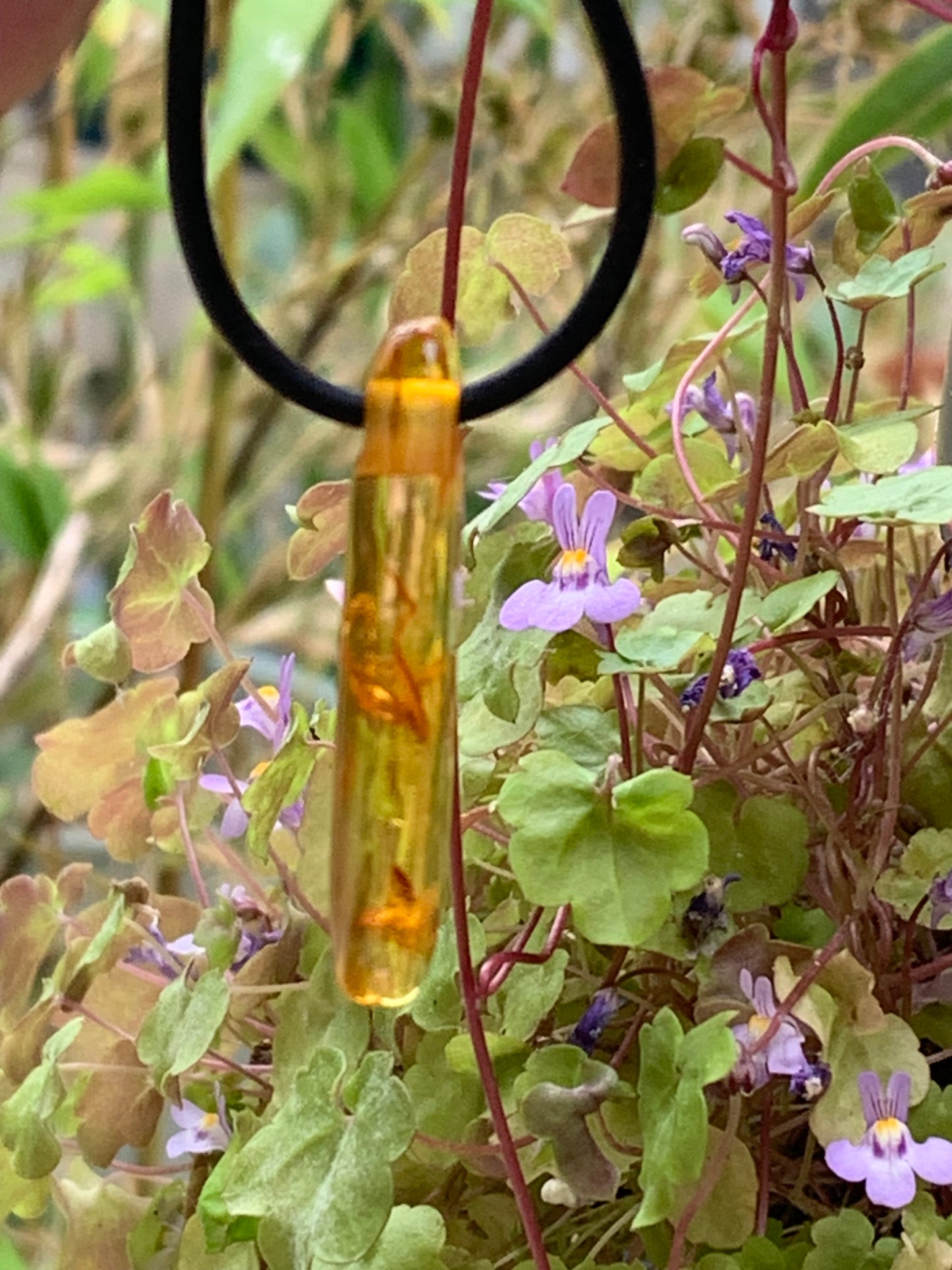Ambre, pendentif de 40x10x6 millimètres, vendu avec cordon coulissant (réglable), en cuir noir de 40 à 70 centimètres !