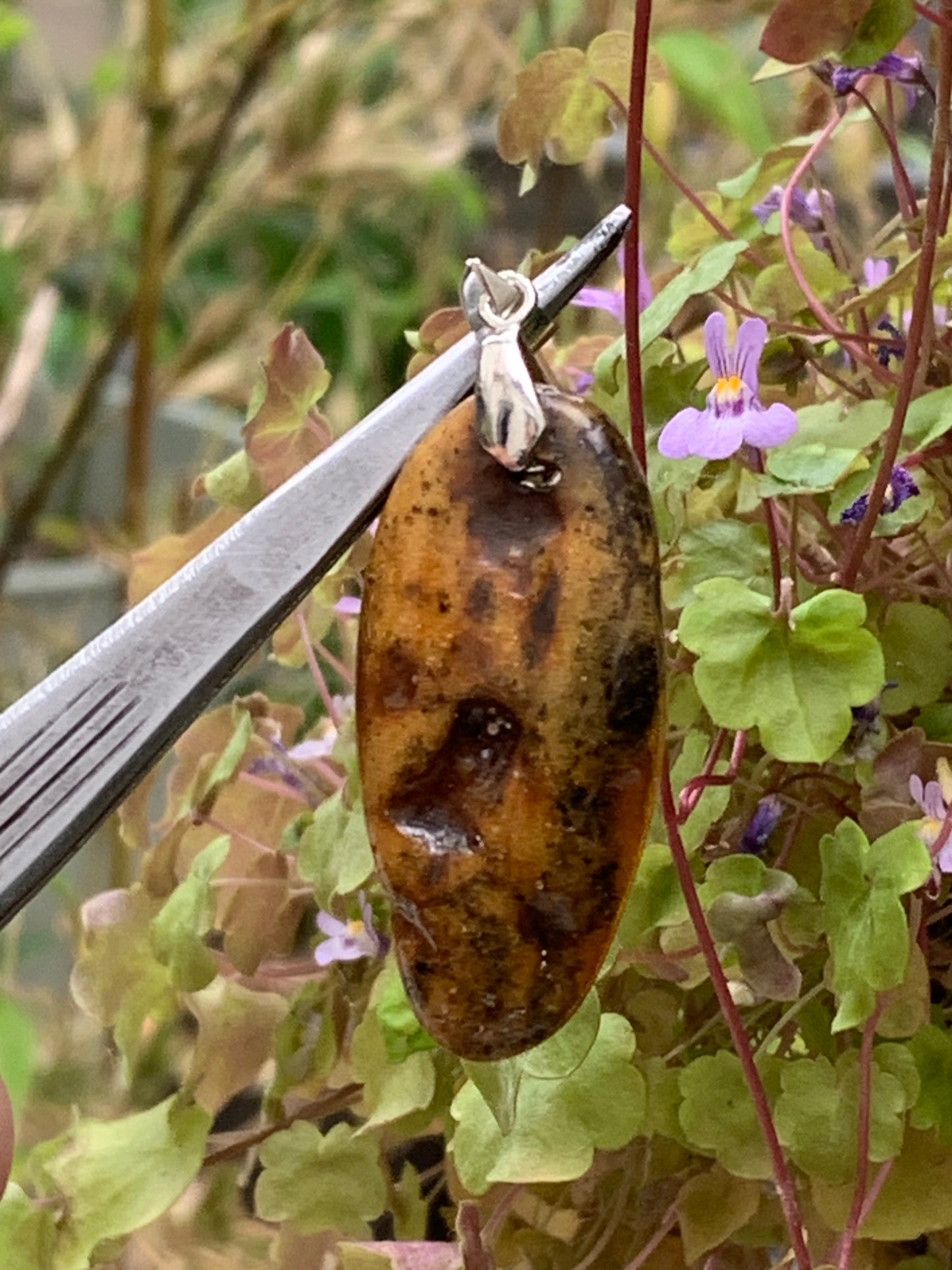 Ambre, pendentif de 50x18x10 millimètres, vendu avec cordon coulissant (réglable), en cuir noir de 40 à 70 centimètres !