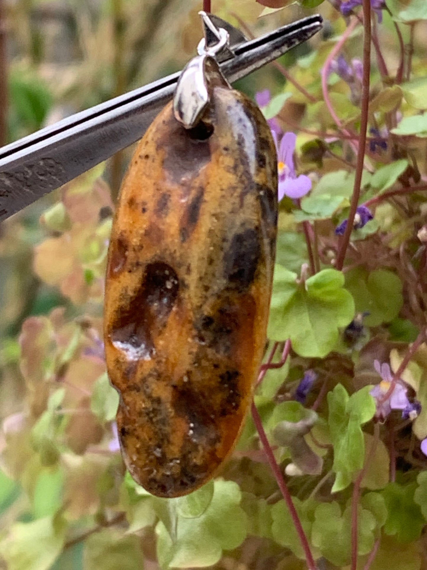 Ambre, pendentif de 50x18x10 millimètres, vendu avec cordon coulissant (réglable), en cuir noir de 40 à 70 centimètres !