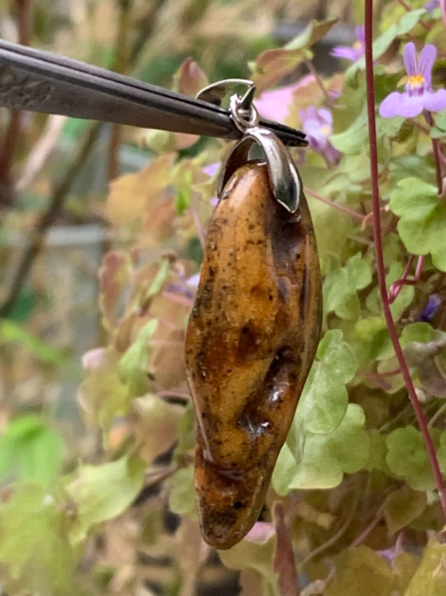 Ambre, pendentif de 50x18x10 millimètres, vendu avec cordon coulissant (réglable), en cuir noir de 40 à 70 centimètres !