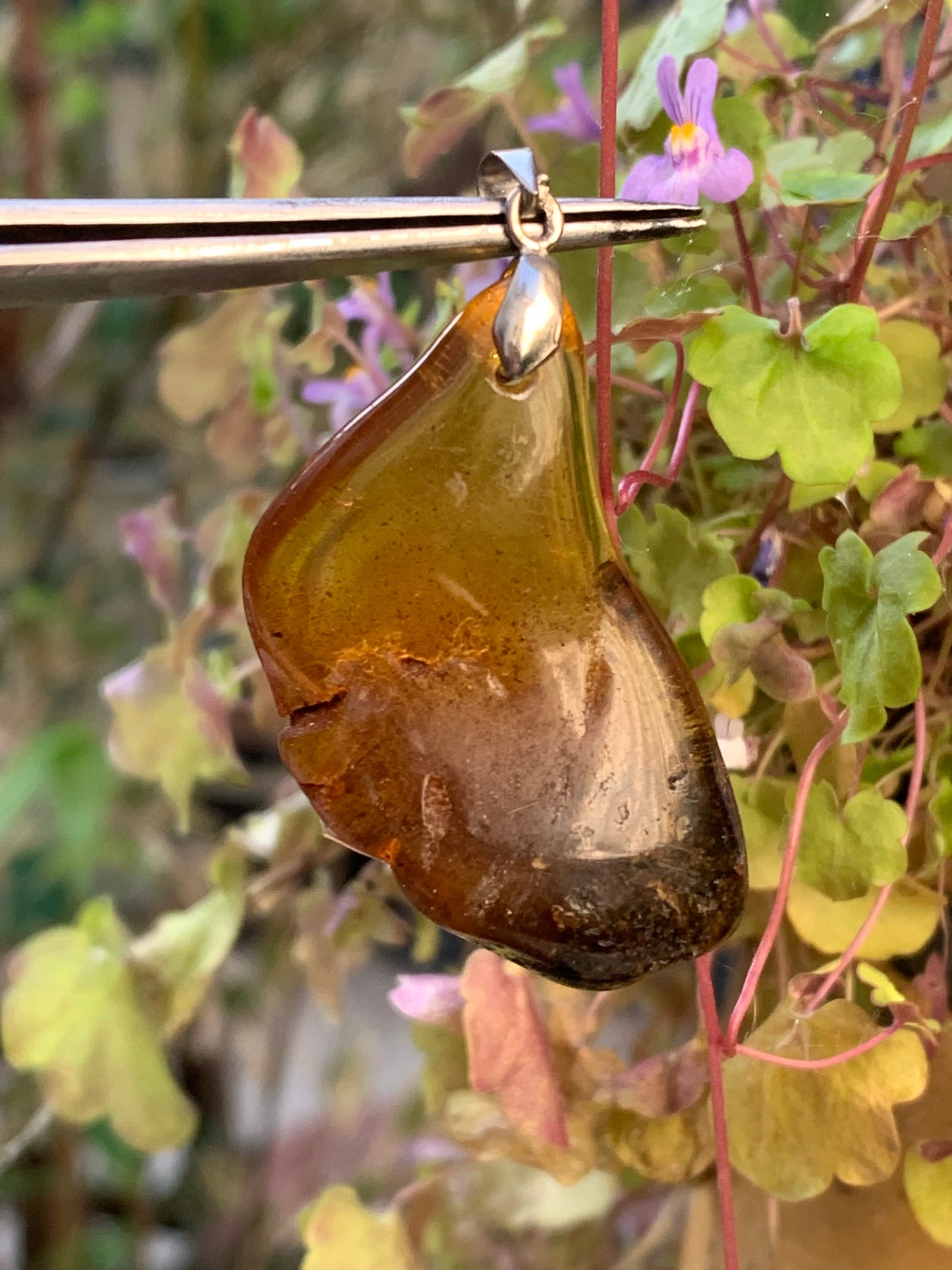 Ambre, pendentif, galet naturel poli de 47x22x10 millimètres, vendu avec cordon coulissant (réglable), en cuir noir de 40 à 70 centimètres !