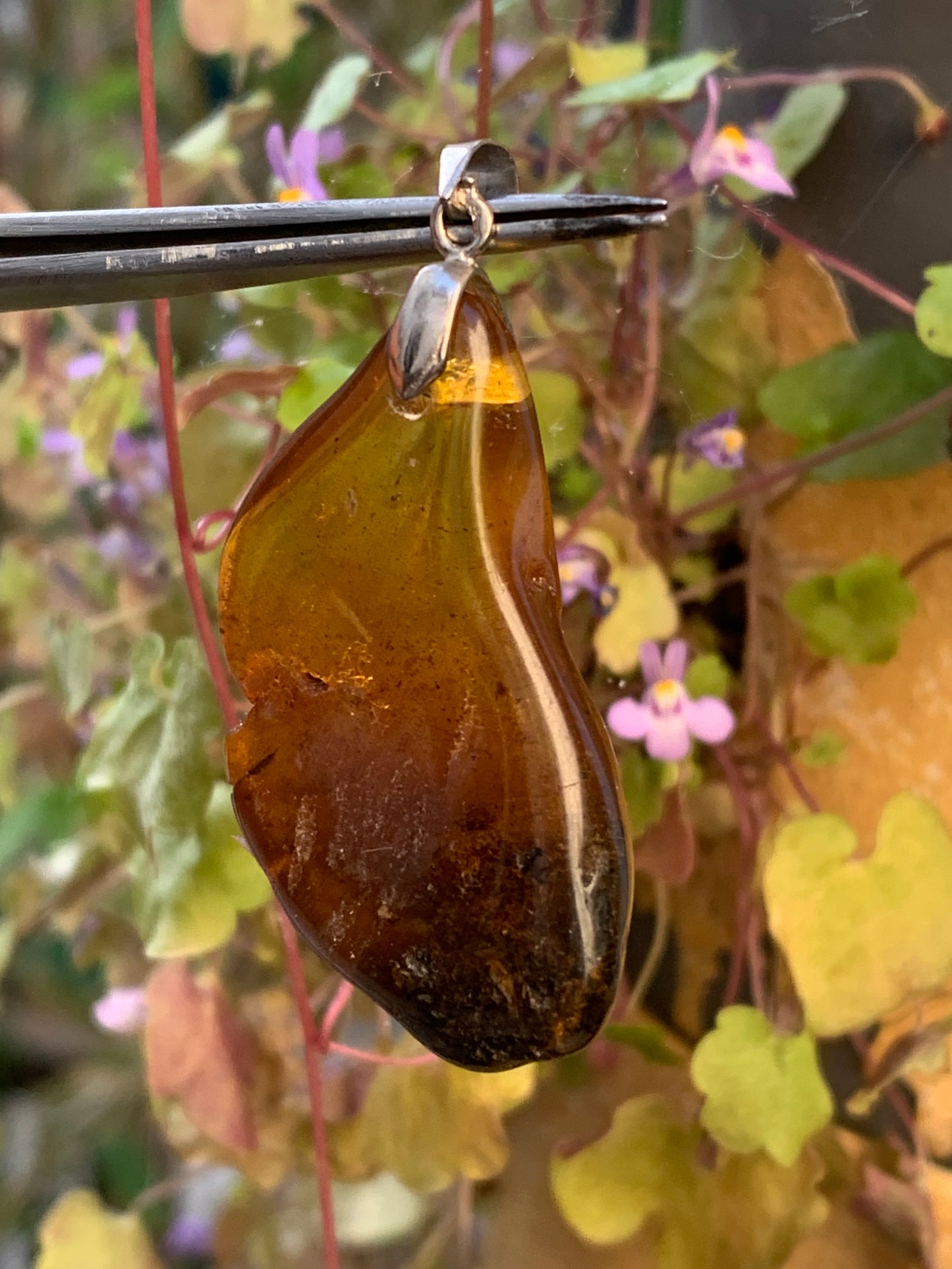 Ambre, pendentif, galet naturel poli de 47x22x10 millimètres, vendu avec cordon coulissant (réglable), en cuir noir de 40 à 70 centimètres !
