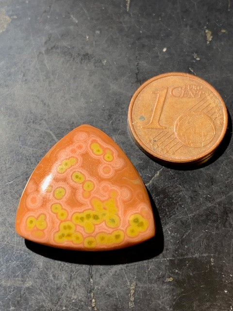 Jaspe Orbiculaire (Aussi appelé Jaspe Océan), cabochon de forme 'Trillion' - ± 21 x 5 mm - 2,8 gr. - Qualité AAA !