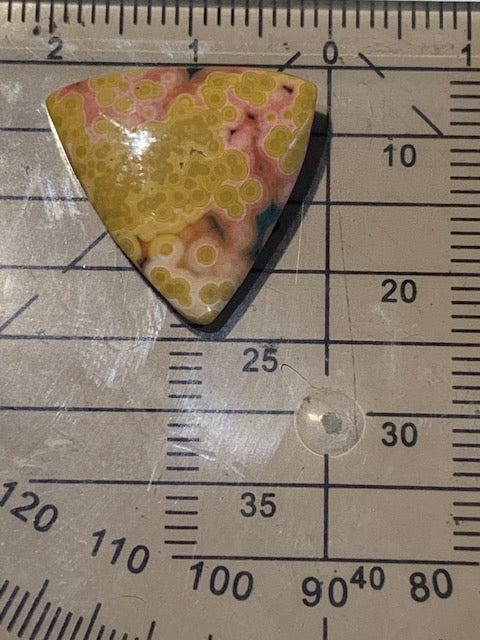 Jaspe Orbiculaire (Aussi appelé Jaspe Océan), cabochon de forme 'Trillion' - ± 17 x 5 mm - 2,1 gr. - Qualité AAA !