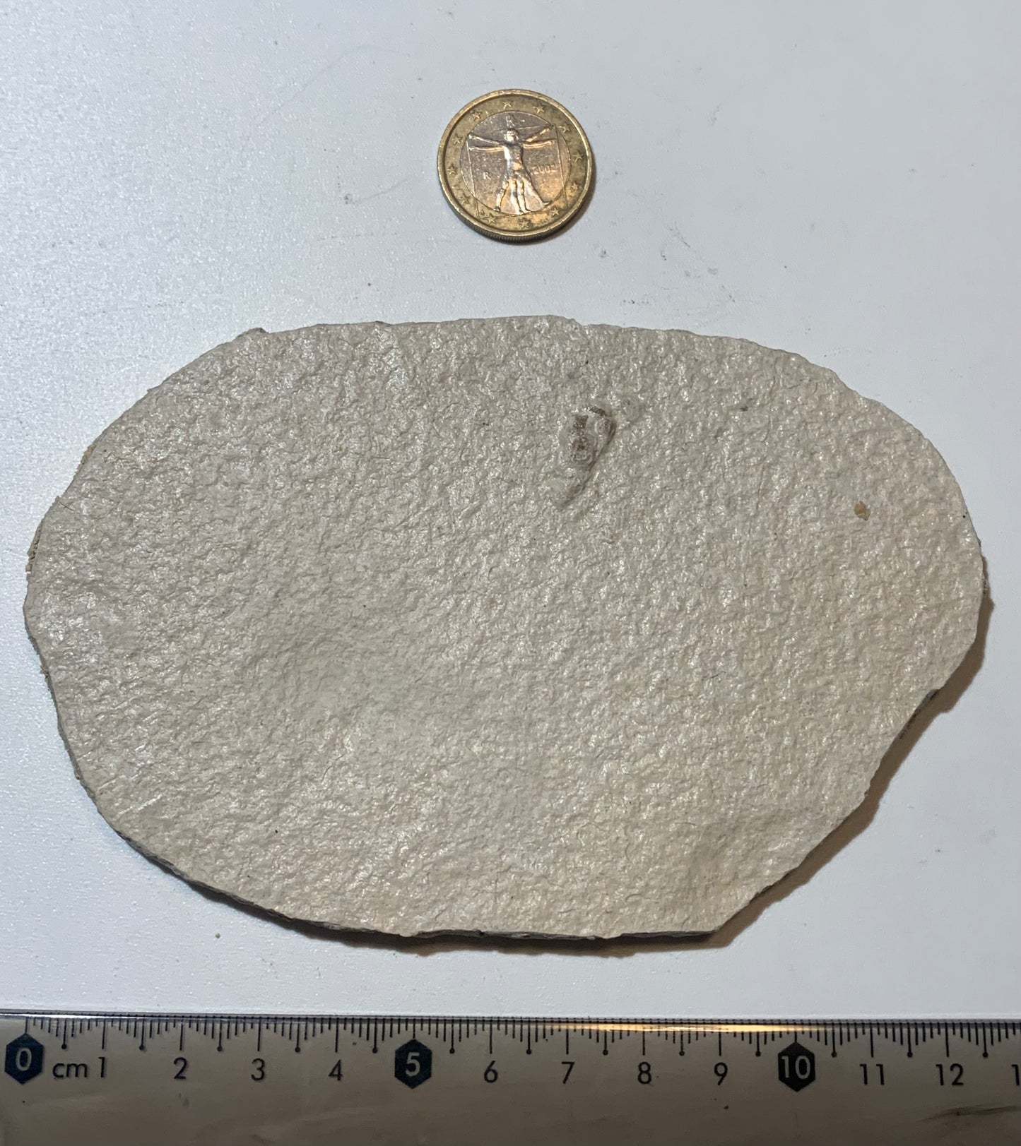 Poisson fossilisé "Knigtia Eocaena" sur plaque de grès de 13 x 8 x 0,8 centimètres / 115 grammes. Parfait pour décoration, collection ou exposition...
