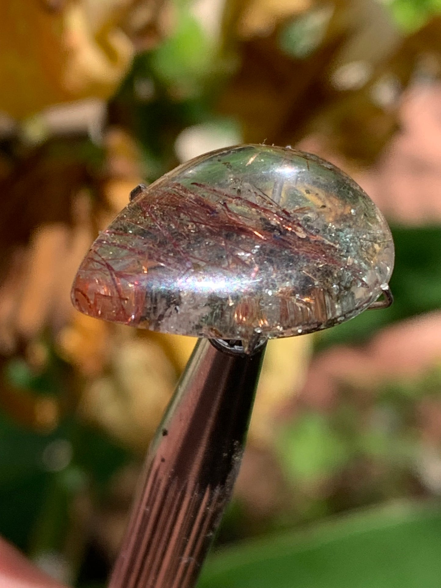 Cristal de roche 'Lodolite', cabochon de 22mm x16 x 7 - 15 carats. Parfait en bijouterie, collection ,exposition, etc