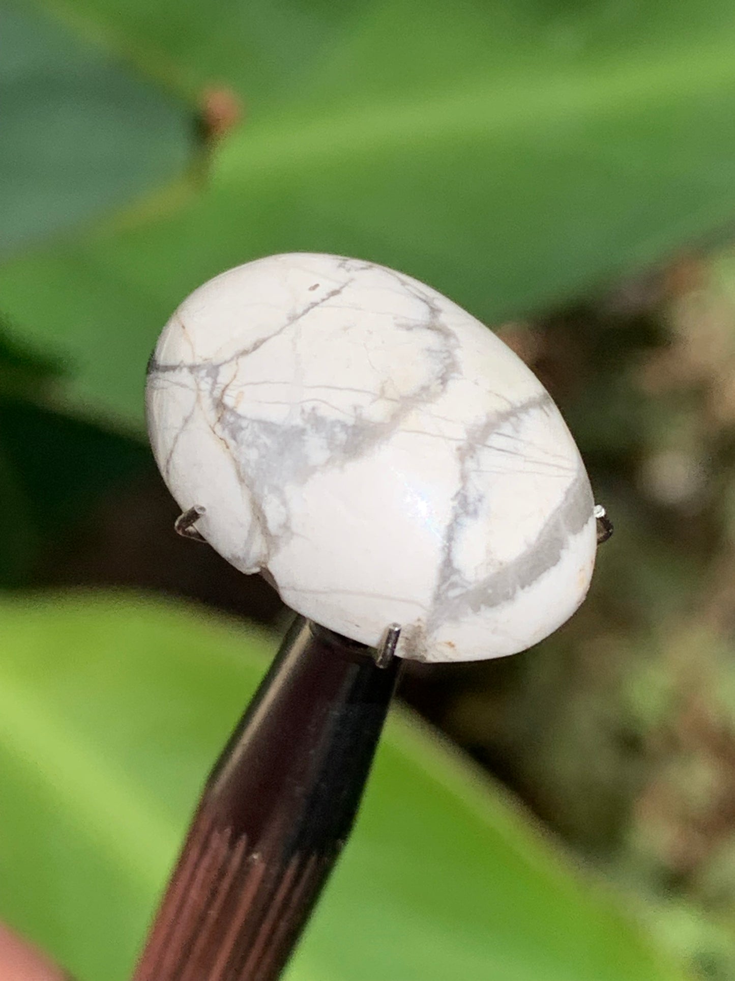 Howlite, cabochon de 20mm x15 x8 - 17 carats. Parfait en bijouterie, collection ,exposition...