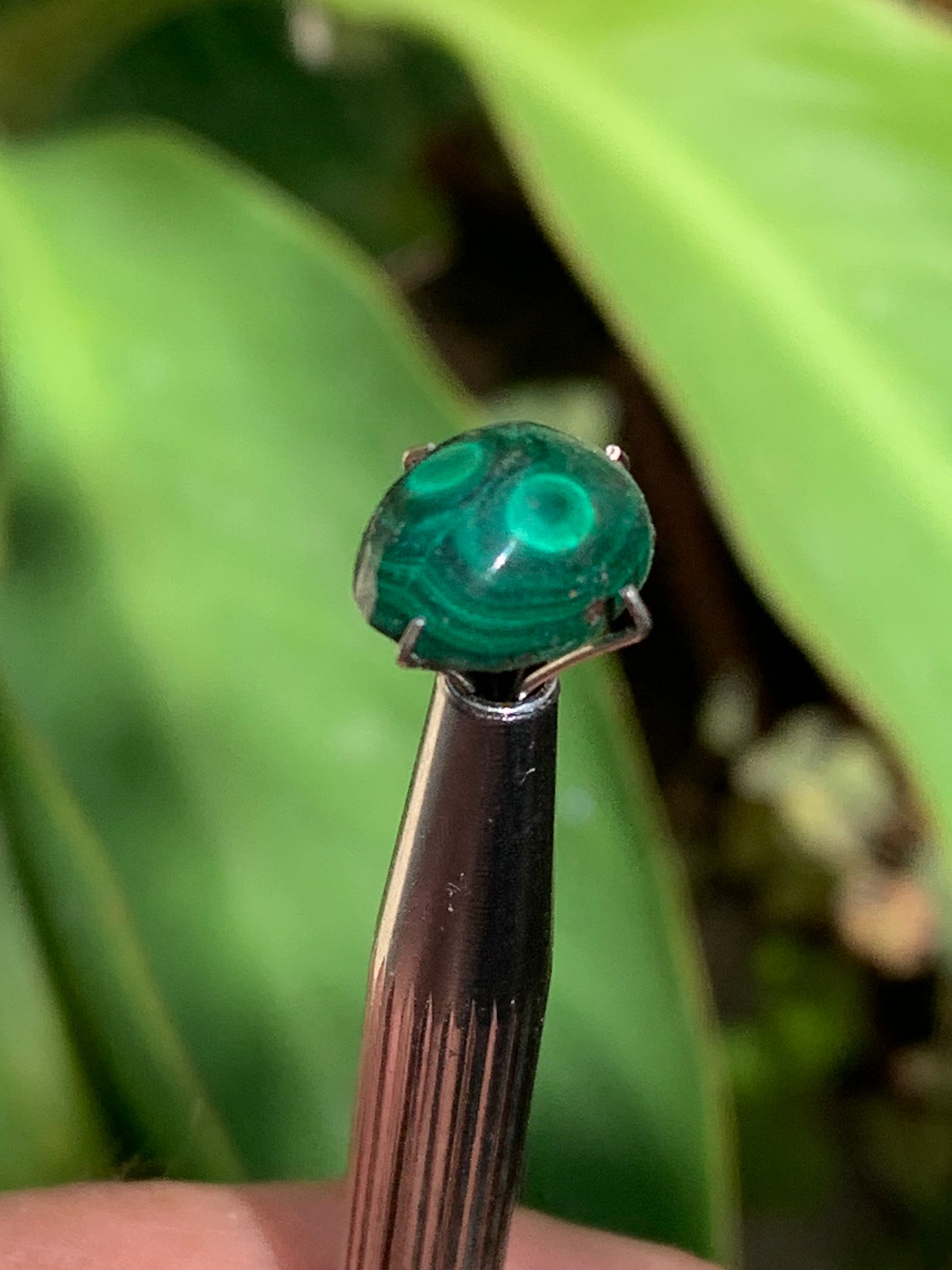 Malachite, cabochon de 12mm x9 x5 - 2,5 carats. Parfait en bijouterie, collection ,exposition...