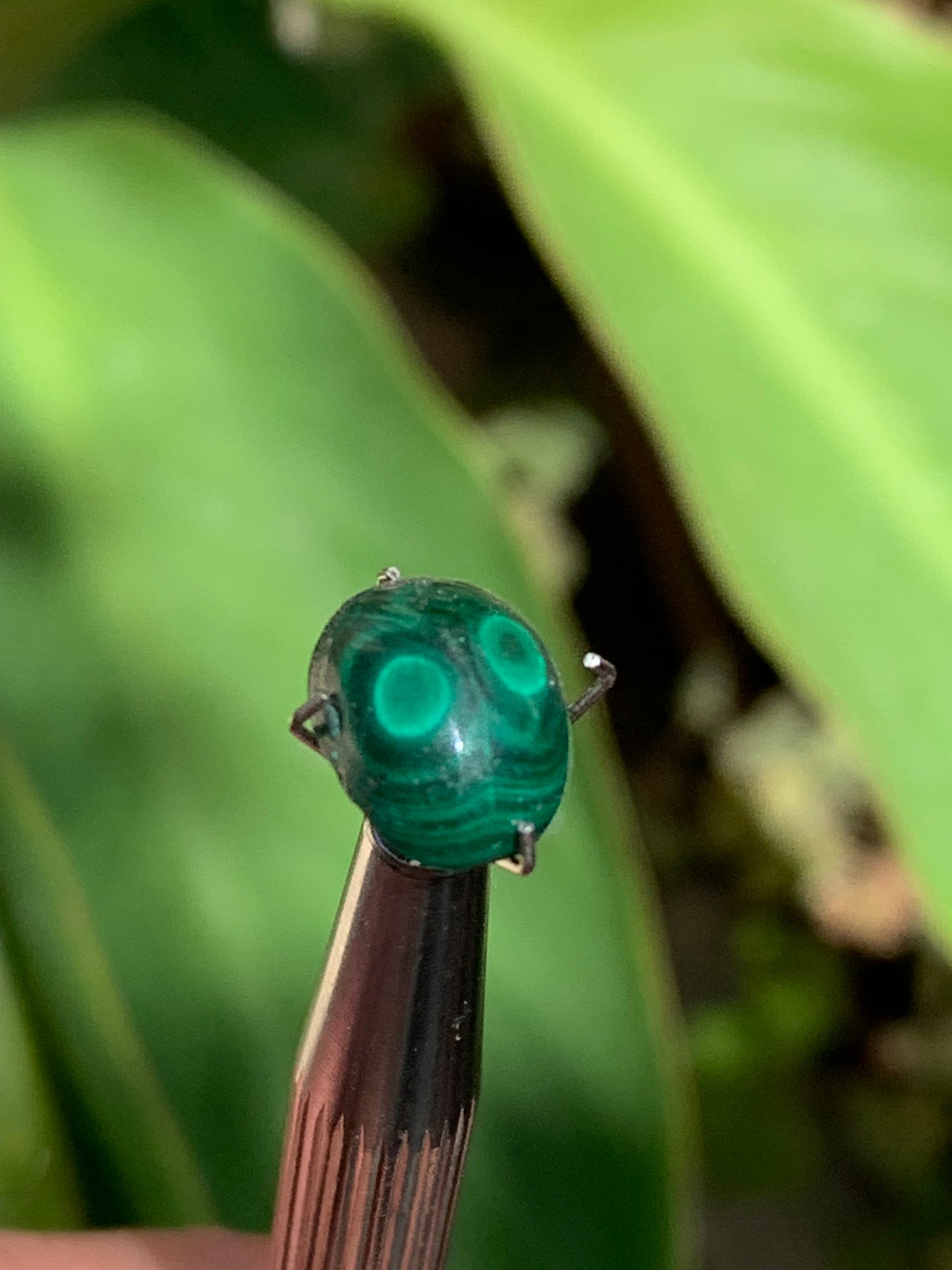 Malachite, cabochon de 12mm x9 x5 - 2,5 carats. Parfait en bijouterie, collection ,exposition...