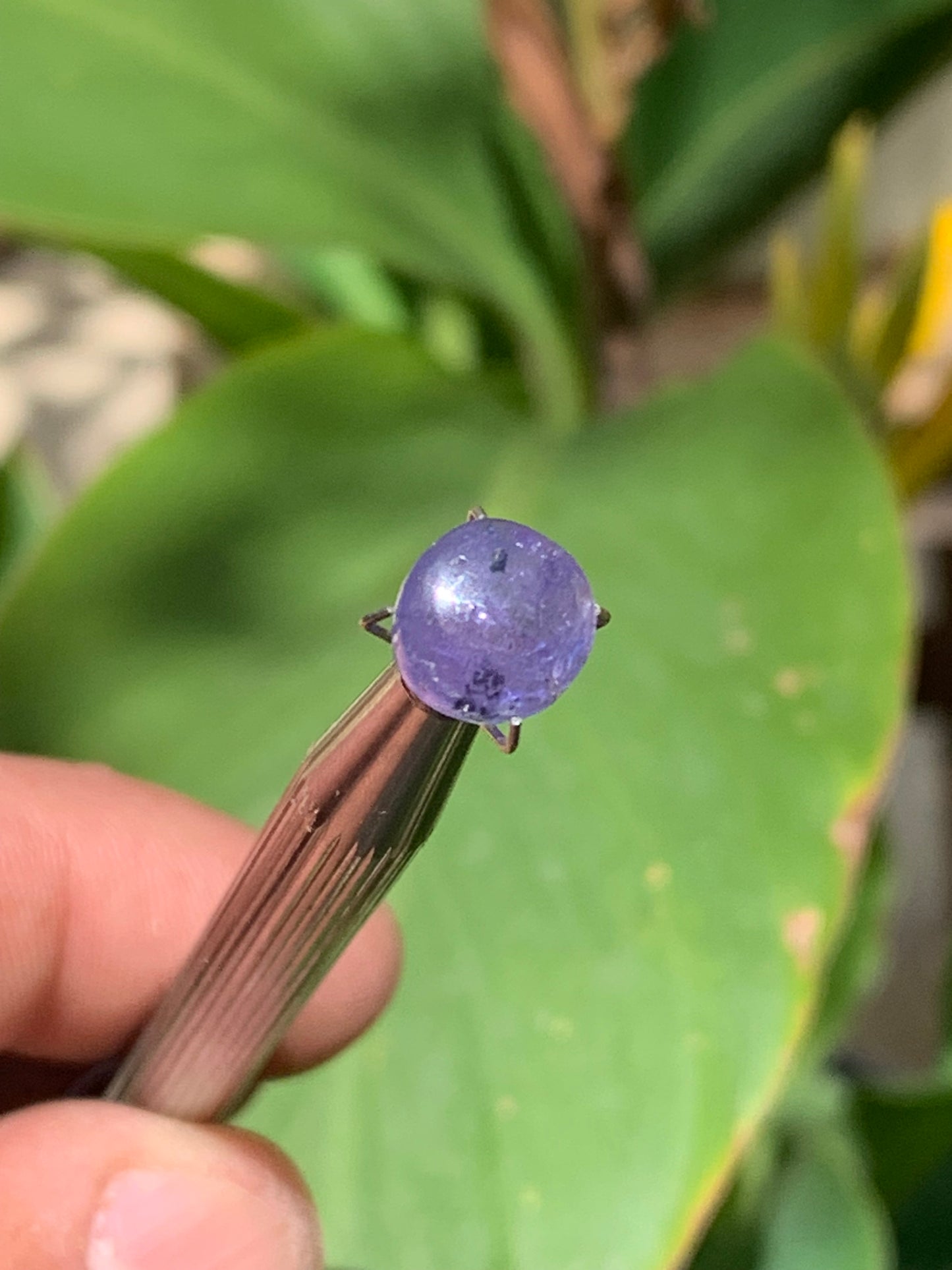 Tanzanite/ Zoïsite bleue, cabochon de 10mm de diamètre x 5 - 3,5 carats. Parfait en bijouterie, collection ,exposition...