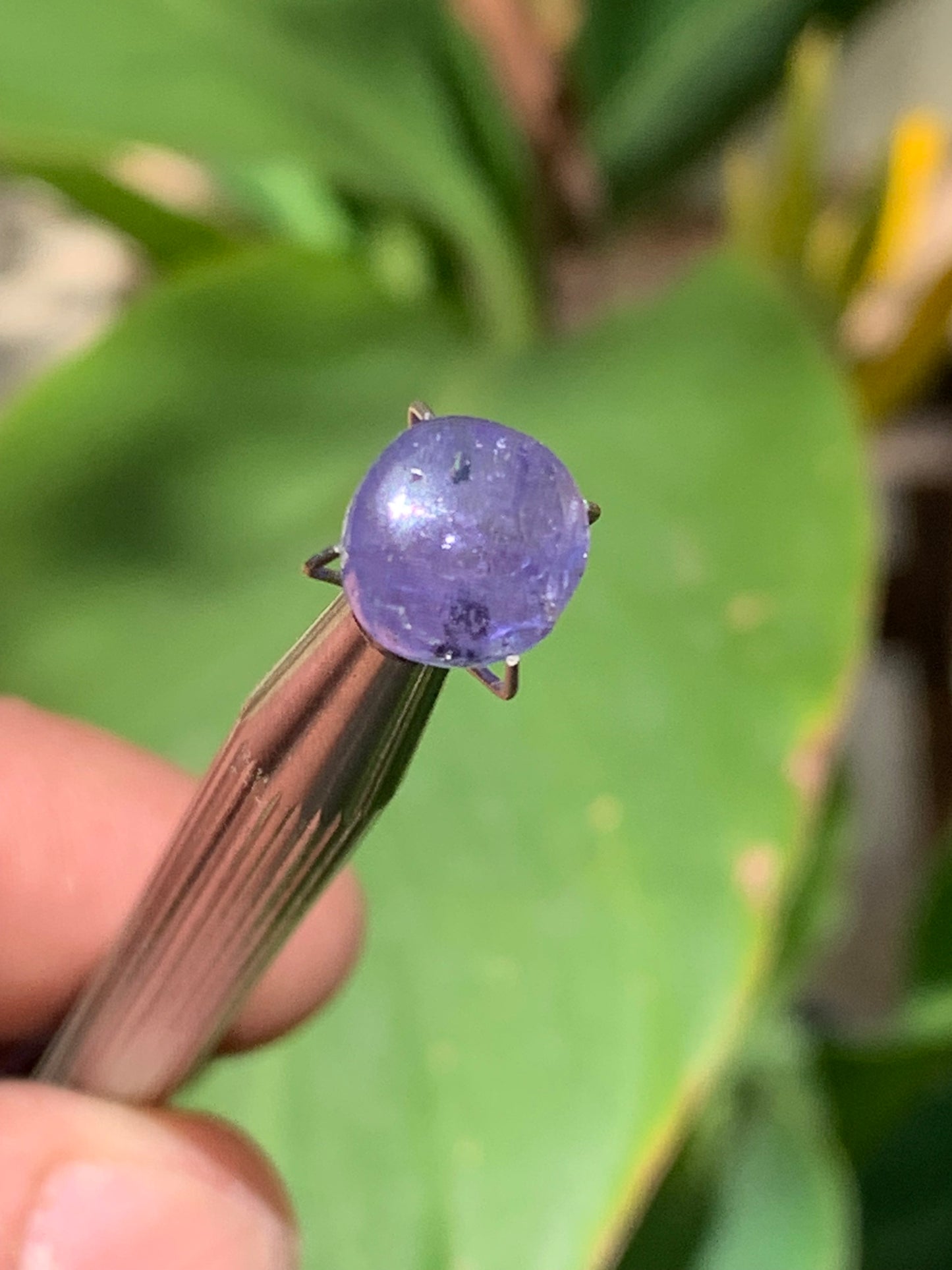 Tanzanite/ Zoïsite bleue, cabochon de 10mm de diamètre x 5 - 3,5 carats. Parfait en bijouterie, collection ,exposition...