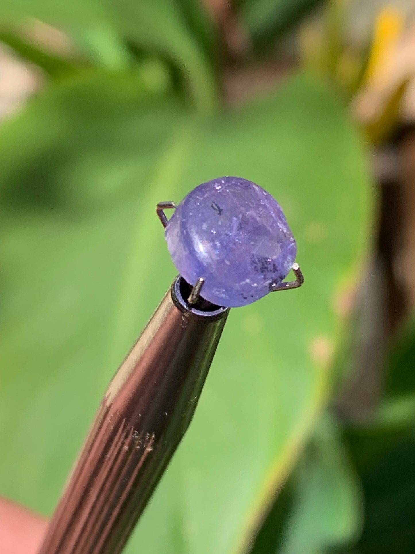 Tanzanite/ Zoïsite bleue, cabochon de 10mm de diamètre x 5 - 3,5 carats. Parfait en bijouterie, collection ,exposition...