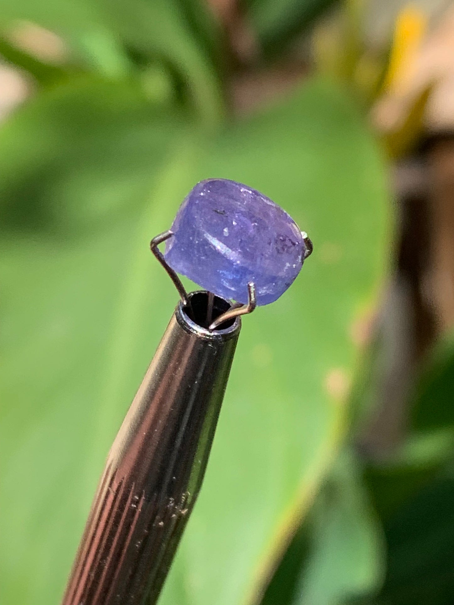 Tanzanite/ Zoïsite bleue, cabochon de 10mm de diamètre x 5 - 3,5 carats. Parfait en bijouterie, collection ,exposition...