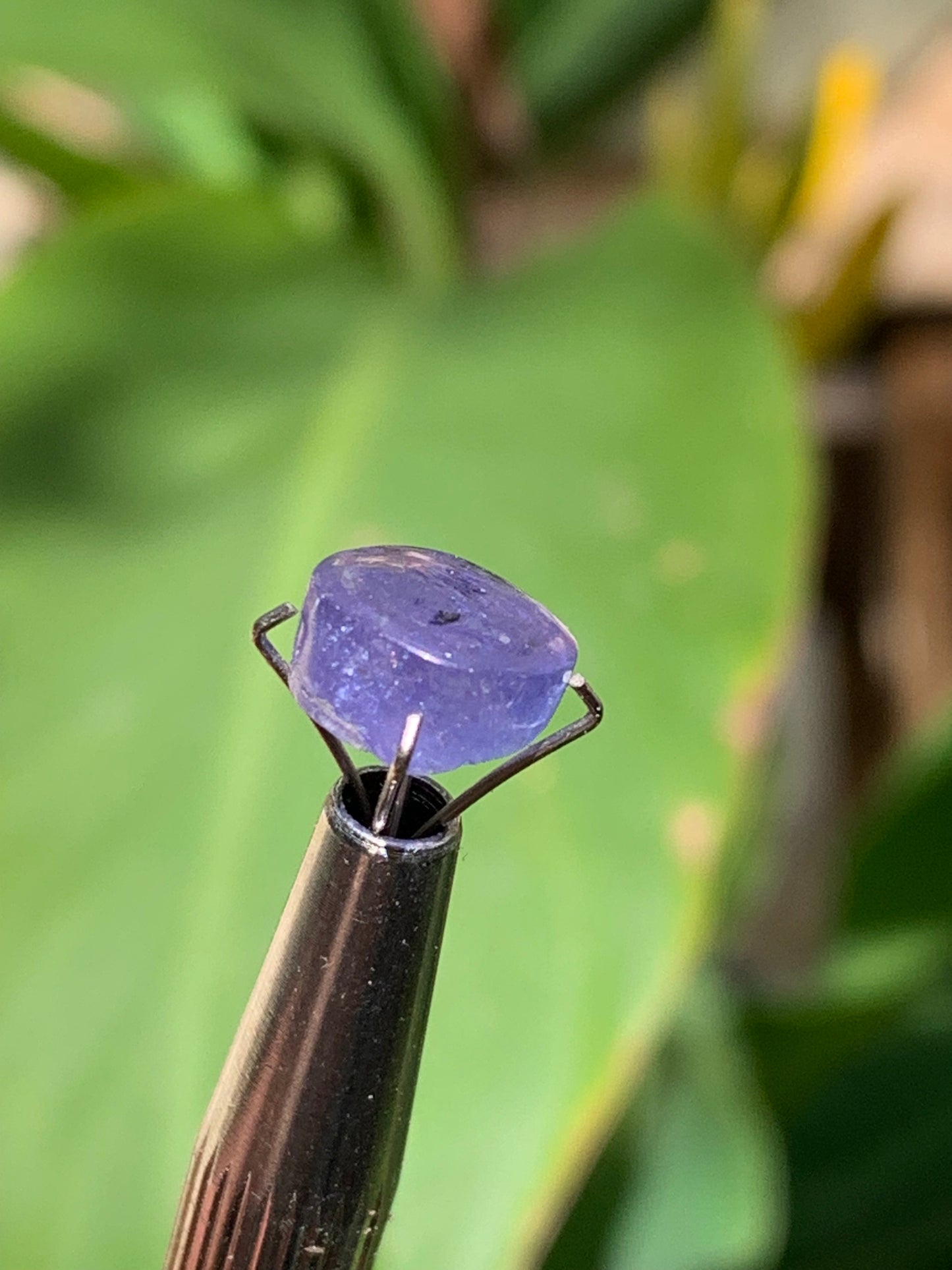 Tanzanite/ Zoïsite bleue, cabochon de 10mm de diamètre x 5 - 3,5 carats. Parfait en bijouterie, collection ,exposition...