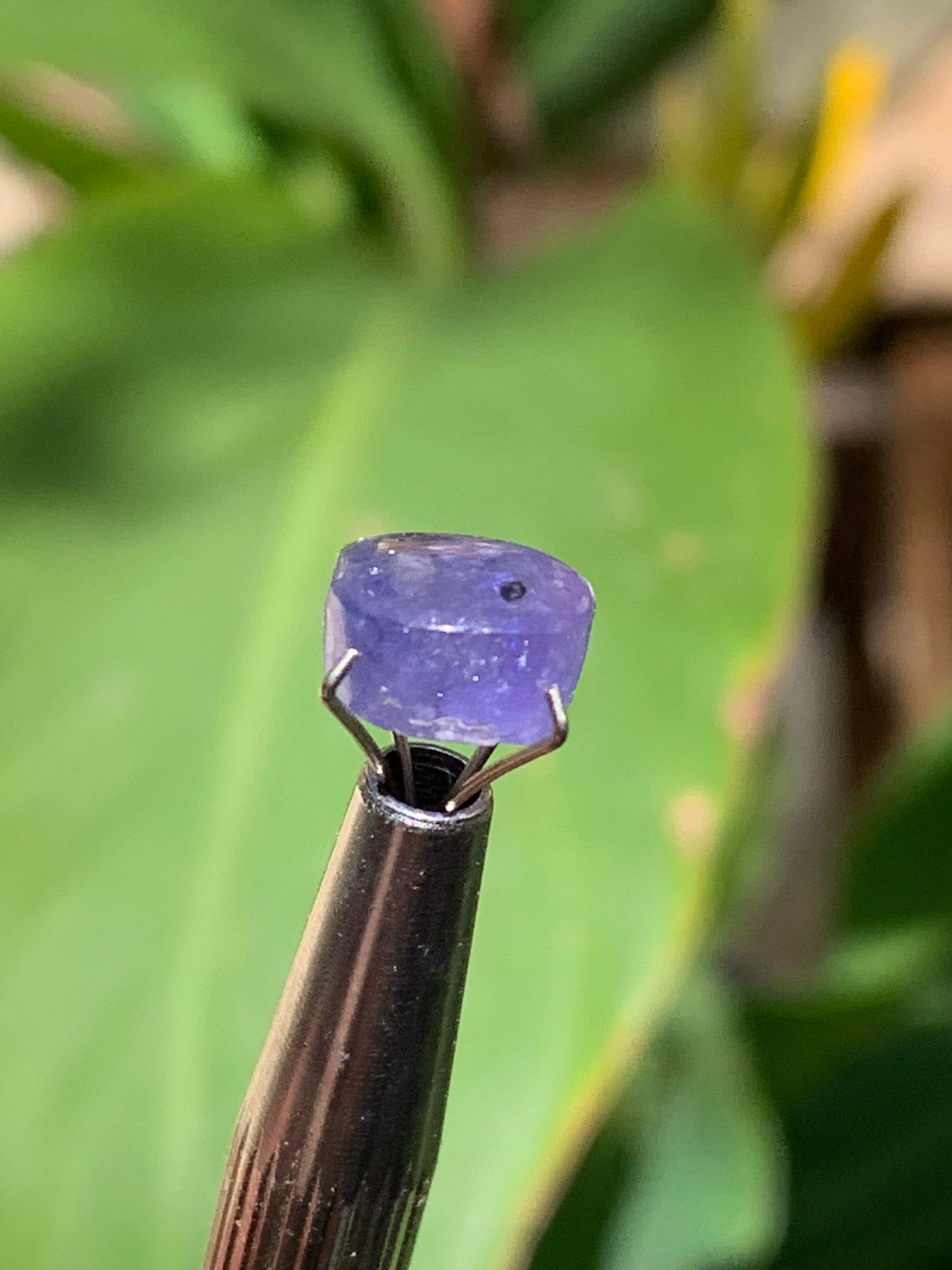 Tanzanite/ Zoïsite bleue, cabochon de 10mm de diamètre x 5 - 3,5 carats. Parfait en bijouterie, collection ,exposition...
