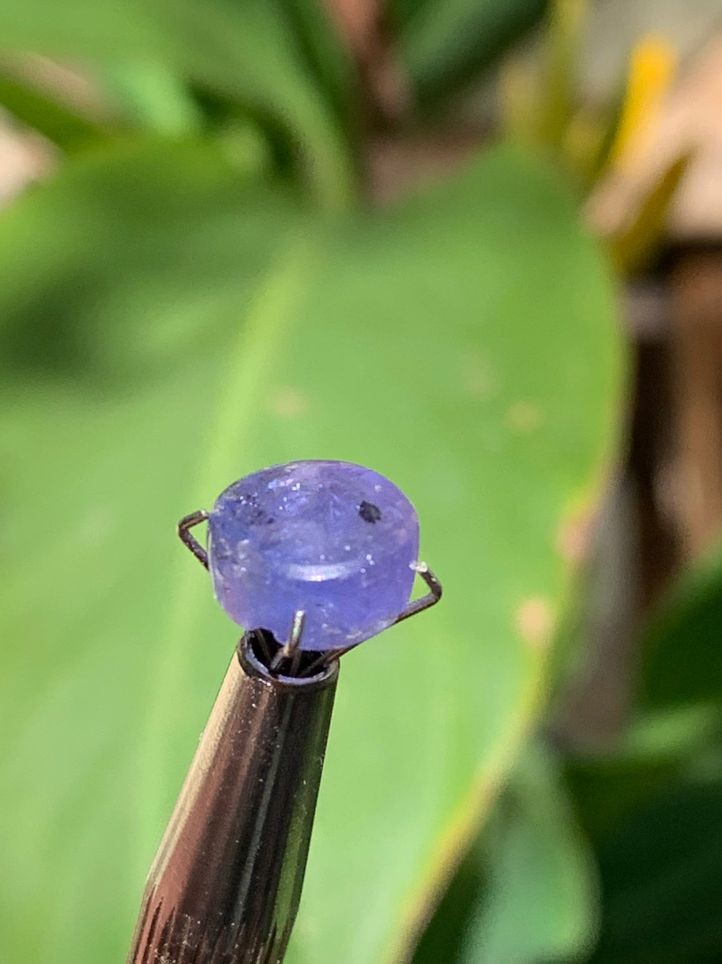 Tanzanite/ Zoïsite bleue, cabochon de 10mm de diamètre x 5 - 3,5 carats. Parfait en bijouterie, collection ,exposition...