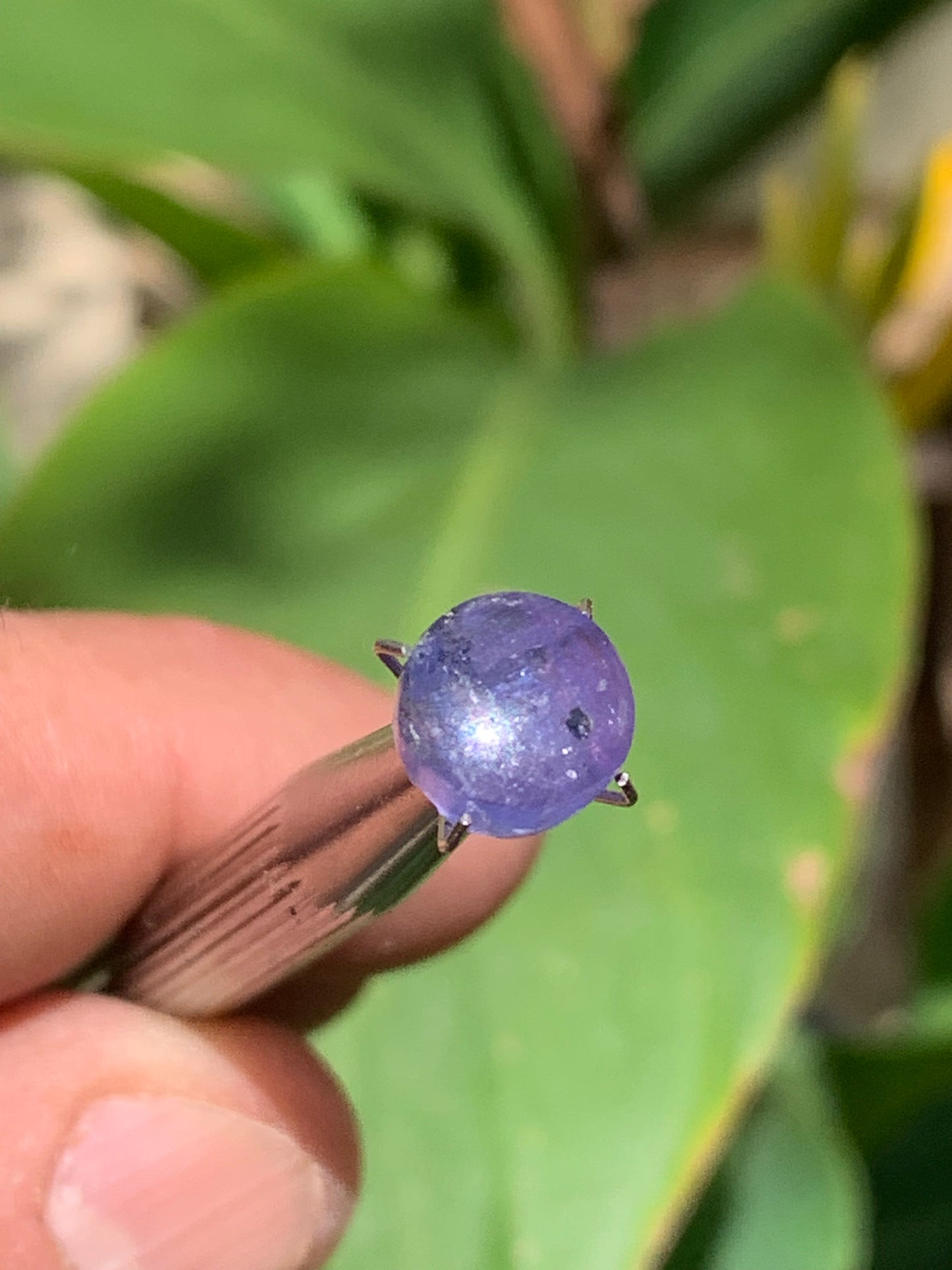 Tanzanite/ Zoïsite bleue, cabochon de 10mm de diamètre x 5 - 3,5 carats. Parfait en bijouterie, collection ,exposition...