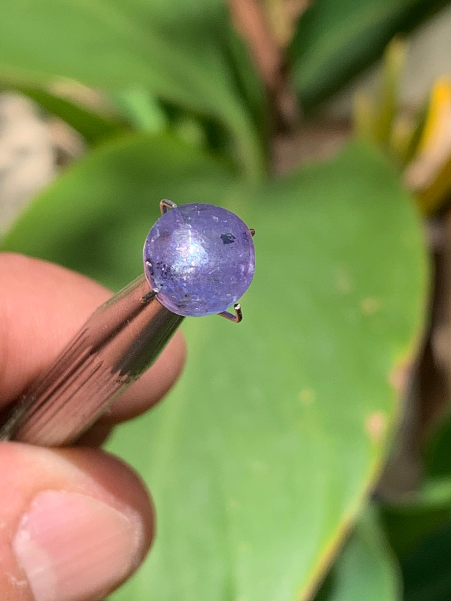 Tanzanite/ Zoïsite bleue, cabochon de 10mm de diamètre x 5 - 3,5 carats. Parfait en bijouterie, collection ,exposition...