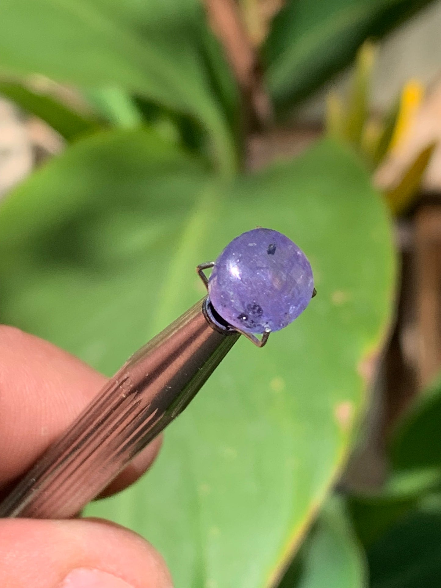 Tanzanite/ Zoïsite bleue, cabochon de 10mm de diamètre x 5 - 3,5 carats. Parfait en bijouterie, collection ,exposition...