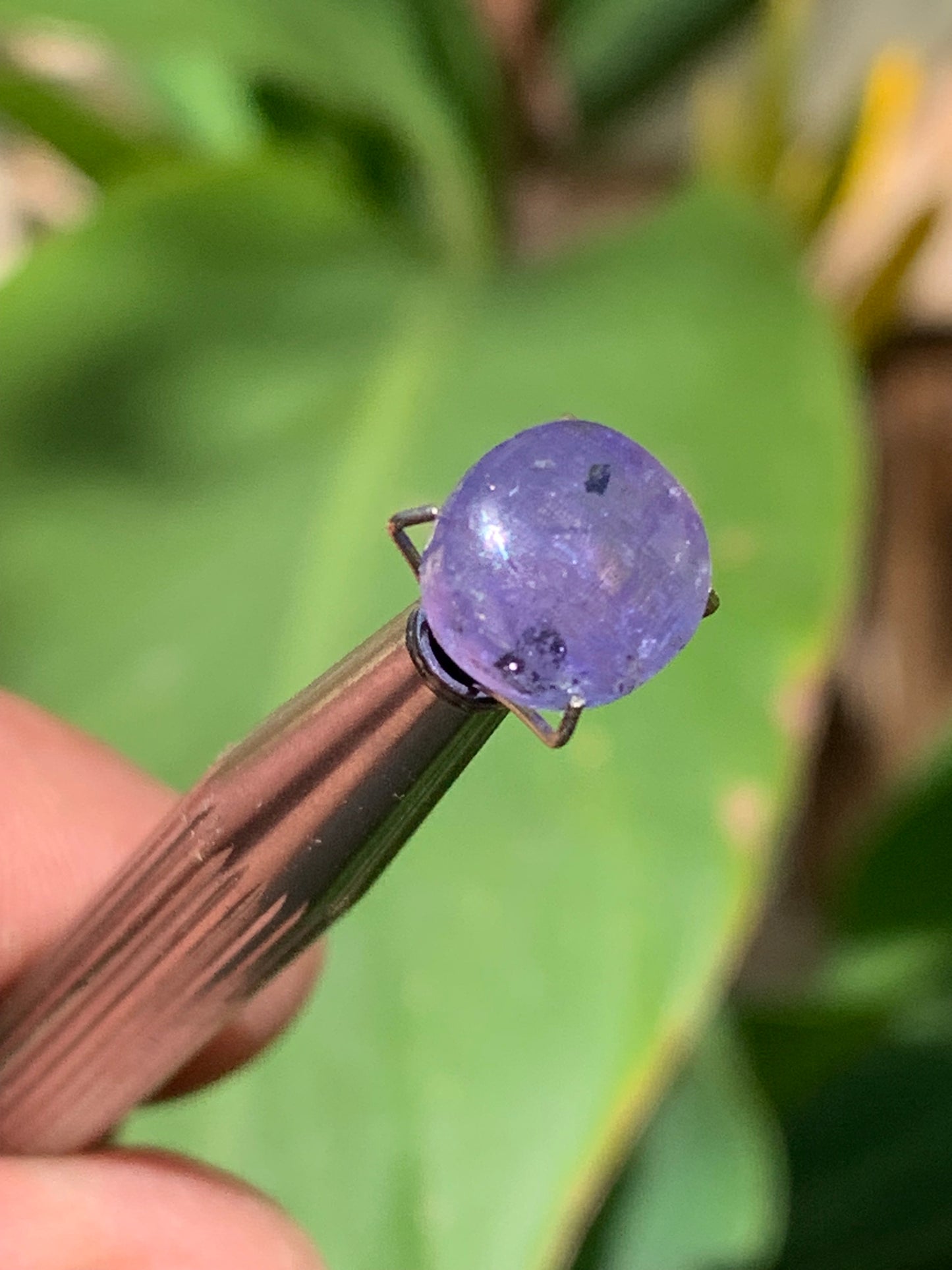 Tanzanite/ Zoïsite bleue, cabochon de 10mm de diamètre x 5 - 3,5 carats. Parfait en bijouterie, collection ,exposition...