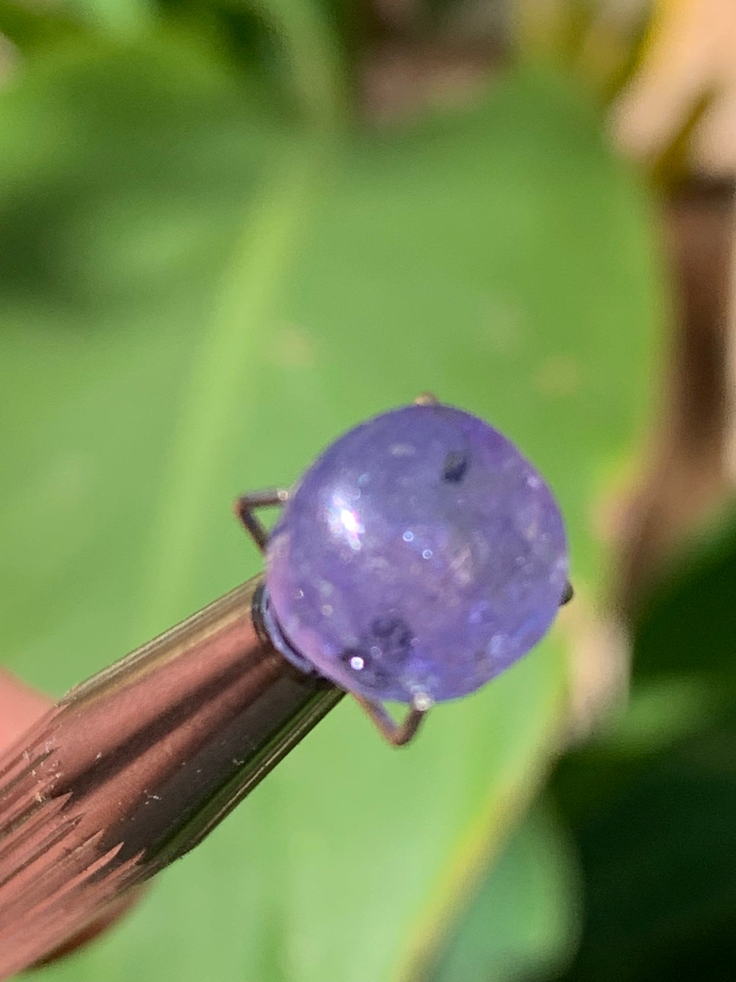 Tanzanite/ Zoïsite bleue, cabochon de 10mm de diamètre x 5 - 3,5 carats. Parfait en bijouterie, collection ,exposition...
