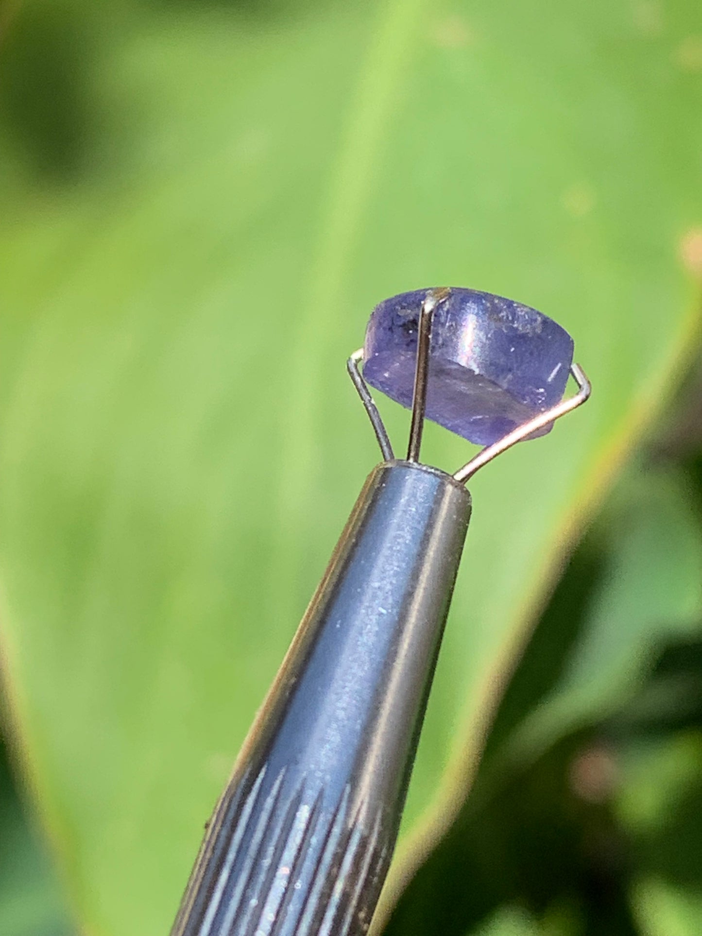 Tanzanite/ Zoïsite bleue, cabochon de 10mm de diamètre x 5 - 3,5 carats. Parfait en bijouterie, collection ,exposition...