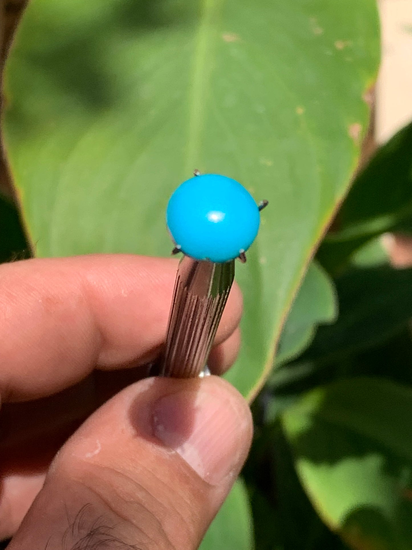 Turquoise, cabochon AAA de 10mm x10 x5 - 3,5 carats. Parfait en bijouterie, collection ,exposition...