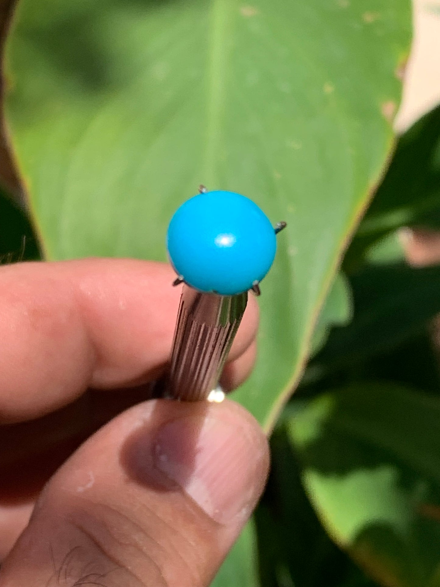 Turquoise, cabochon AAA de 10mm x10 x5 - 3,5 carats. Parfait en bijouterie, collection ,exposition...