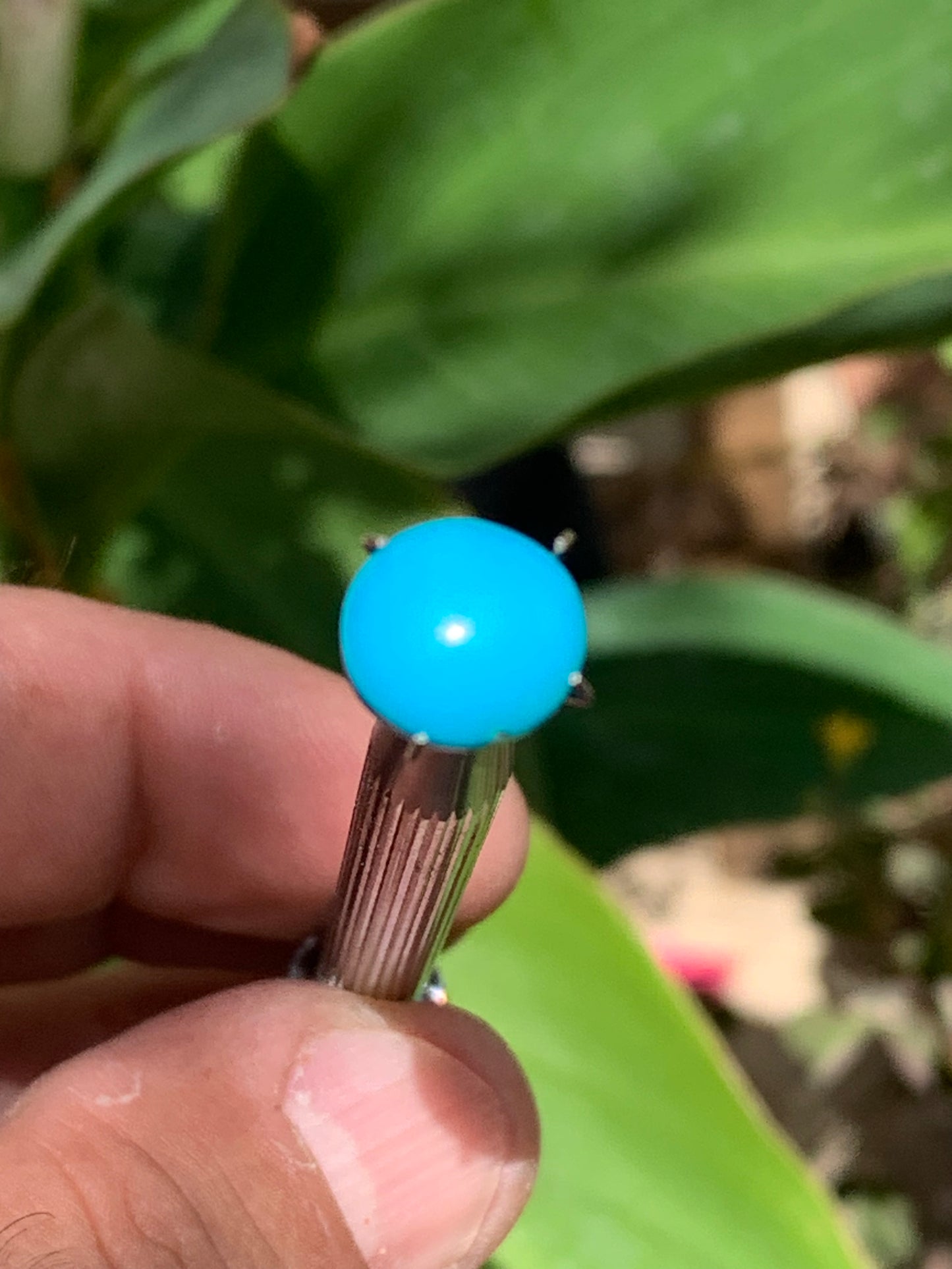 Turquoise, cabochon AAA de 10mm x10 x5 - 3,5 carats. Parfait en bijouterie, collection ,exposition...