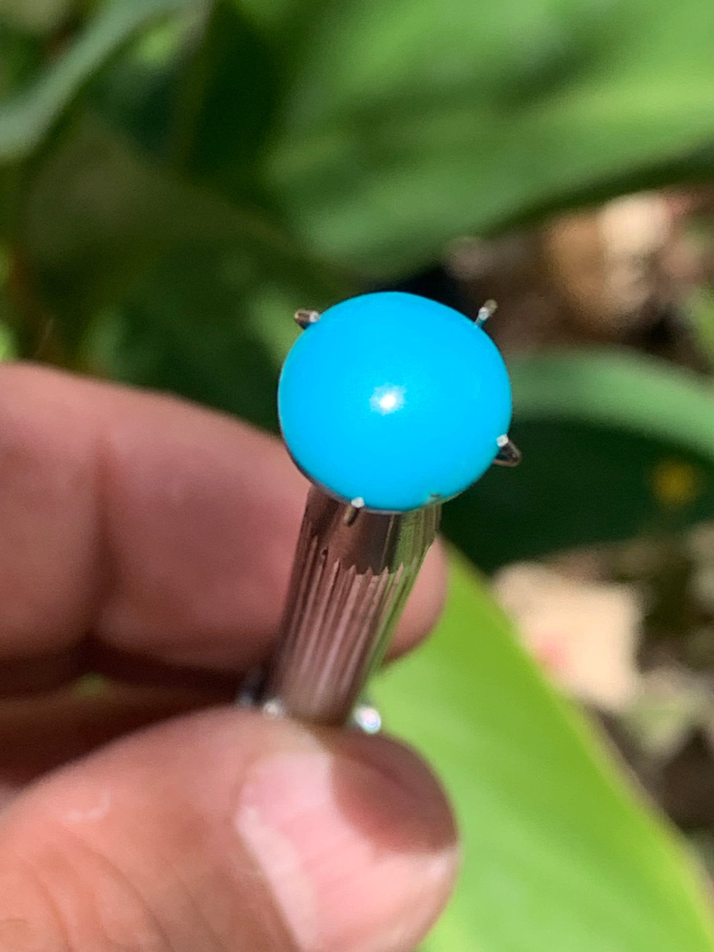 Turquoise, cabochon AAA de 10mm x10 x5 - 3,5 carats. Parfait en bijouterie, collection ,exposition...