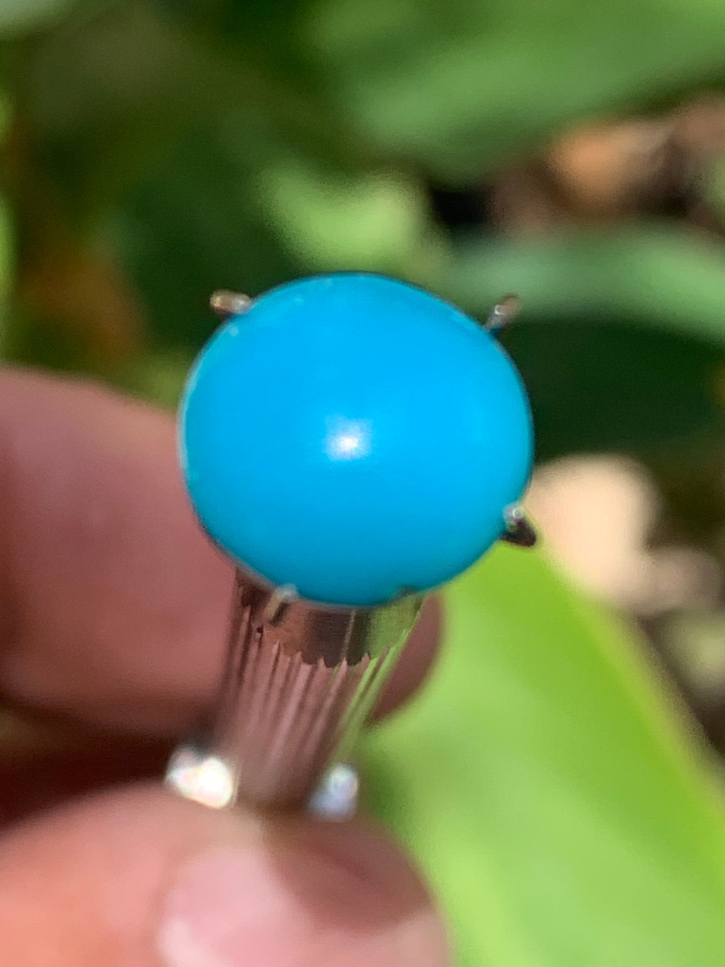 Turquoise, cabochon AAA de 10mm x10 x5 - 3,5 carats. Parfait en bijouterie, collection ,exposition...