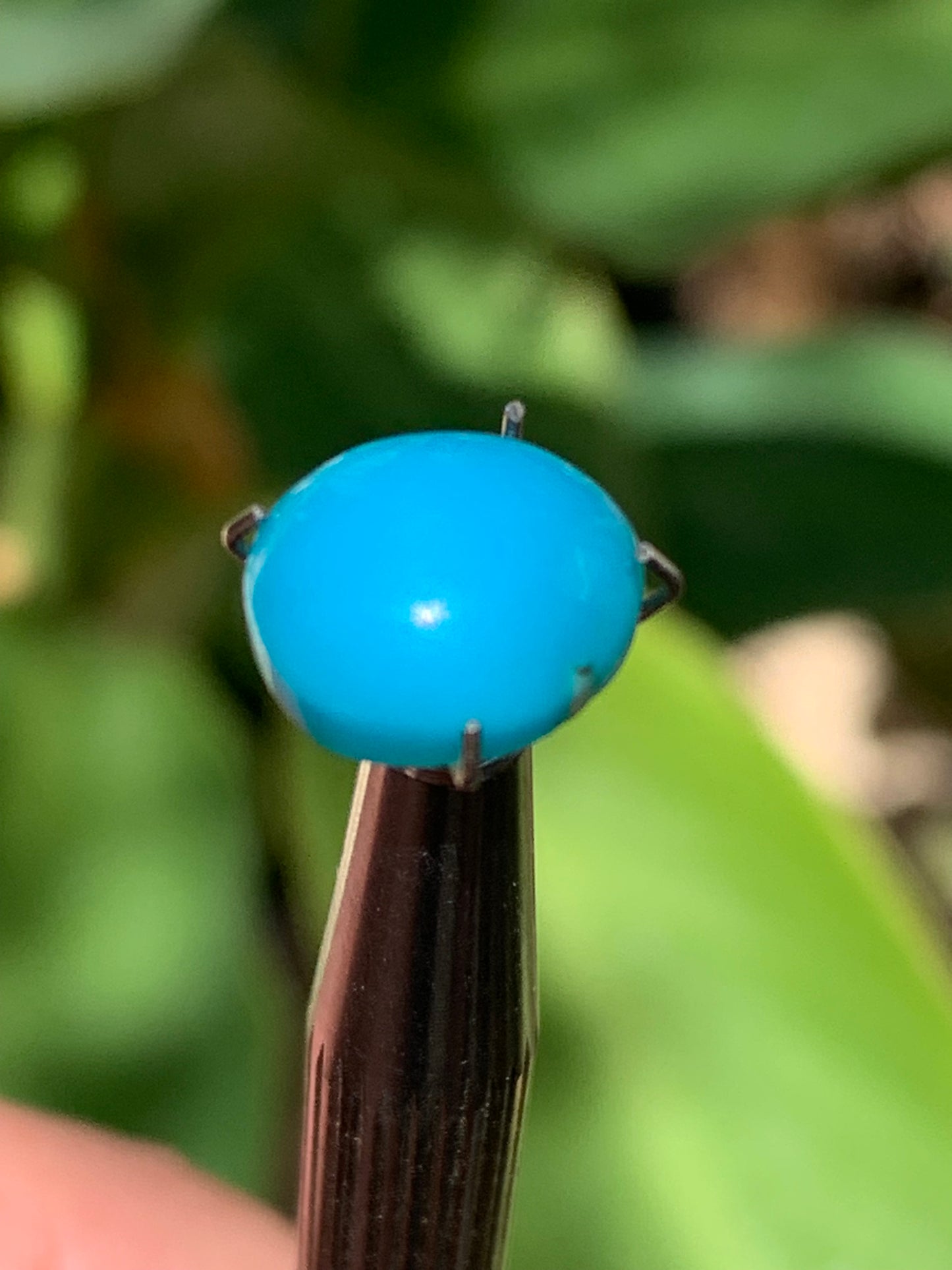 Turquoise, cabochon AAA de 10mm x10 x5 - 3,5 carats. Parfait en bijouterie, collection ,exposition...