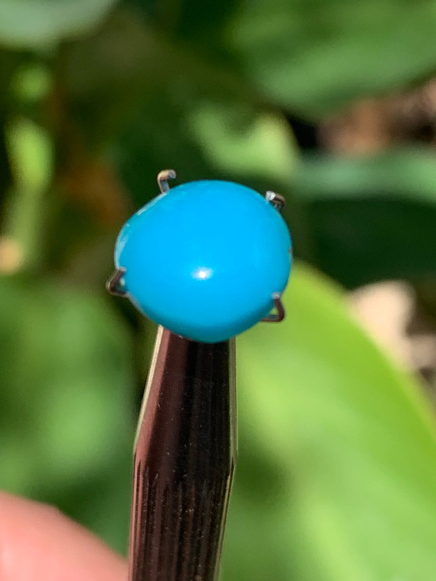 Turquoise, cabochon AAA de 10mm x10 x5 - 3,5 carats. Parfait en bijouterie, collection ,exposition...