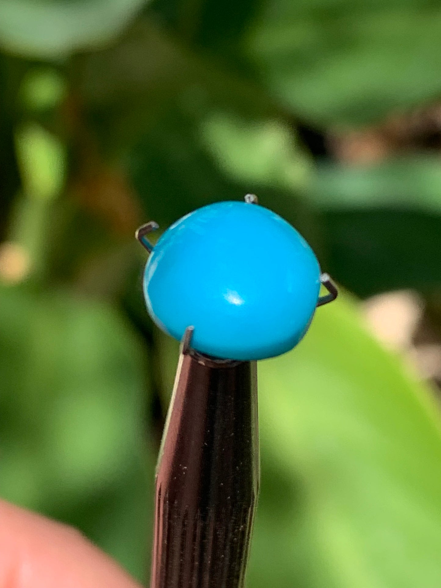 Turquoise, cabochon AAA de 10mm x10 x5 - 3,5 carats. Parfait en bijouterie, collection ,exposition...