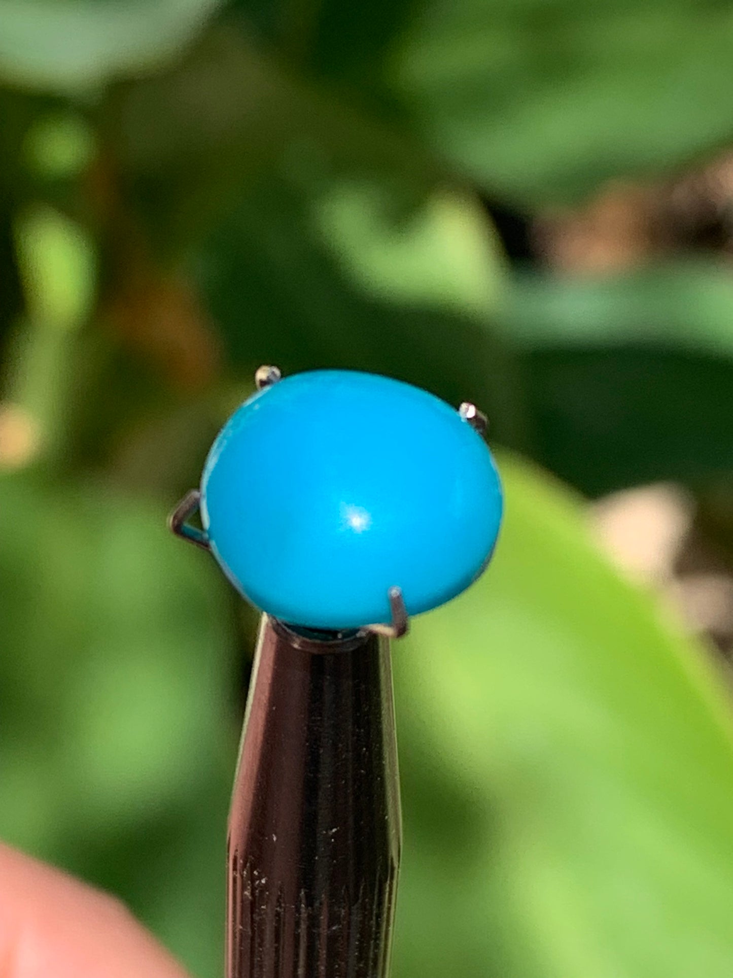 Turquoise, cabochon AAA de 10mm x10 x5 - 3,5 carats. Parfait en bijouterie, collection ,exposition...